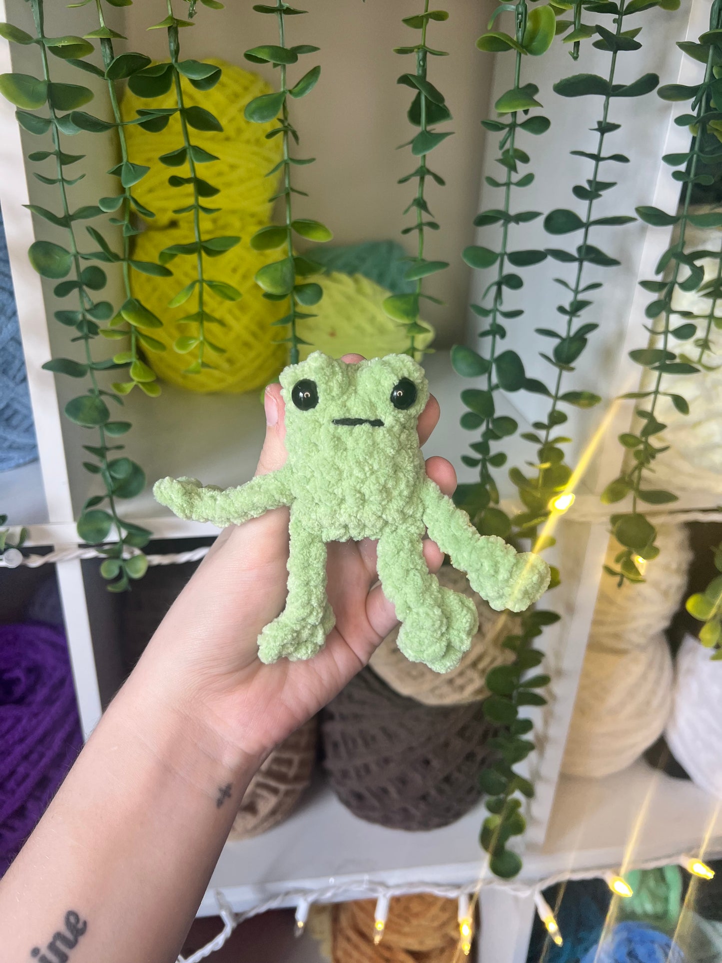 Baby Leggy Frogs