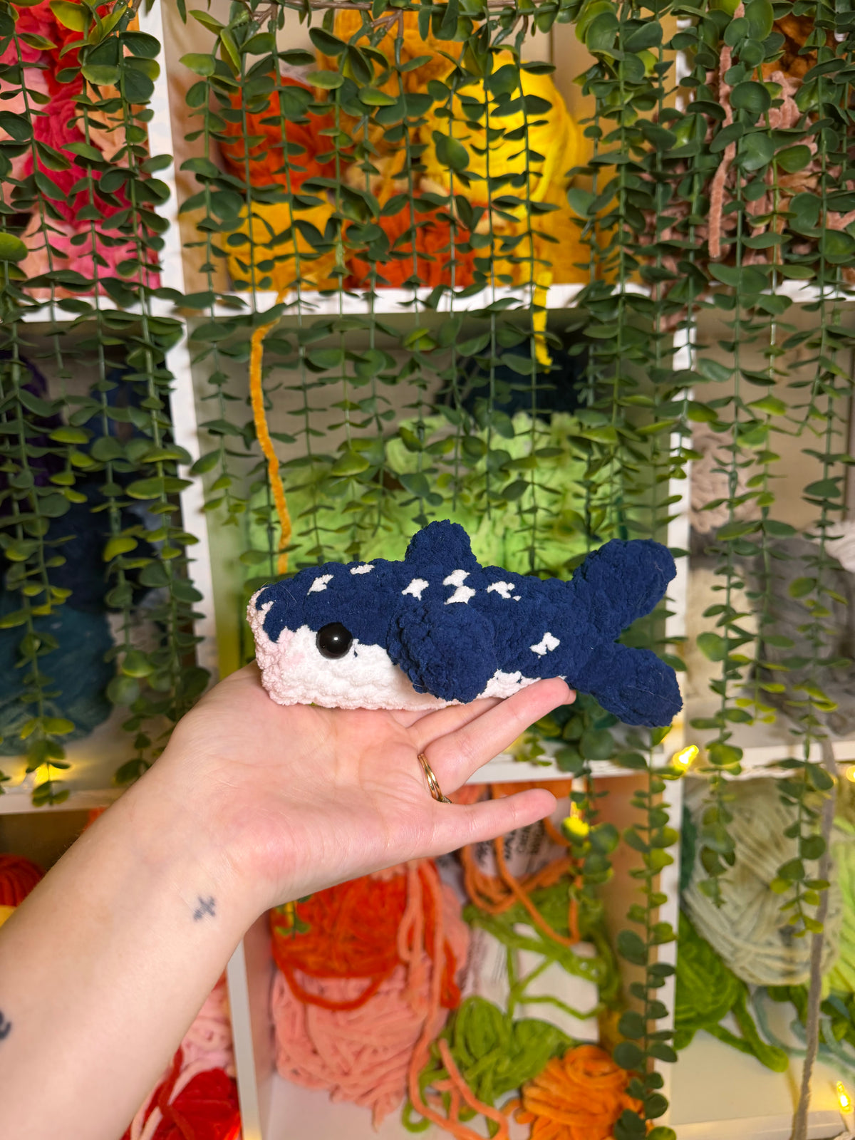 Mini Whale Shark