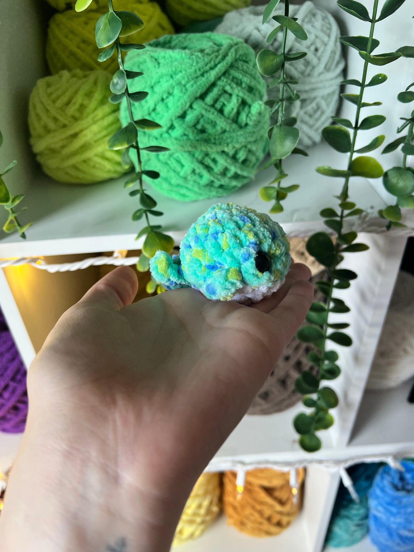 Mini Whales