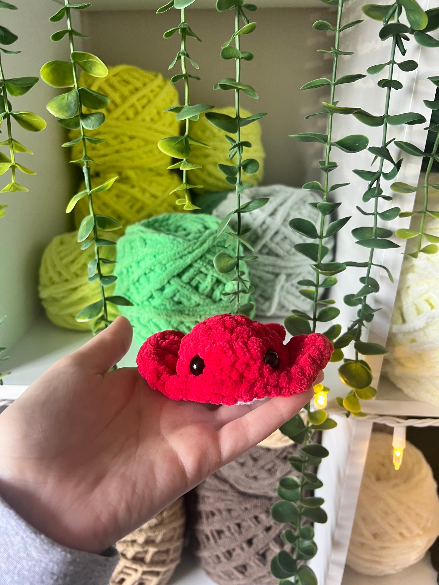 Mini Stingray