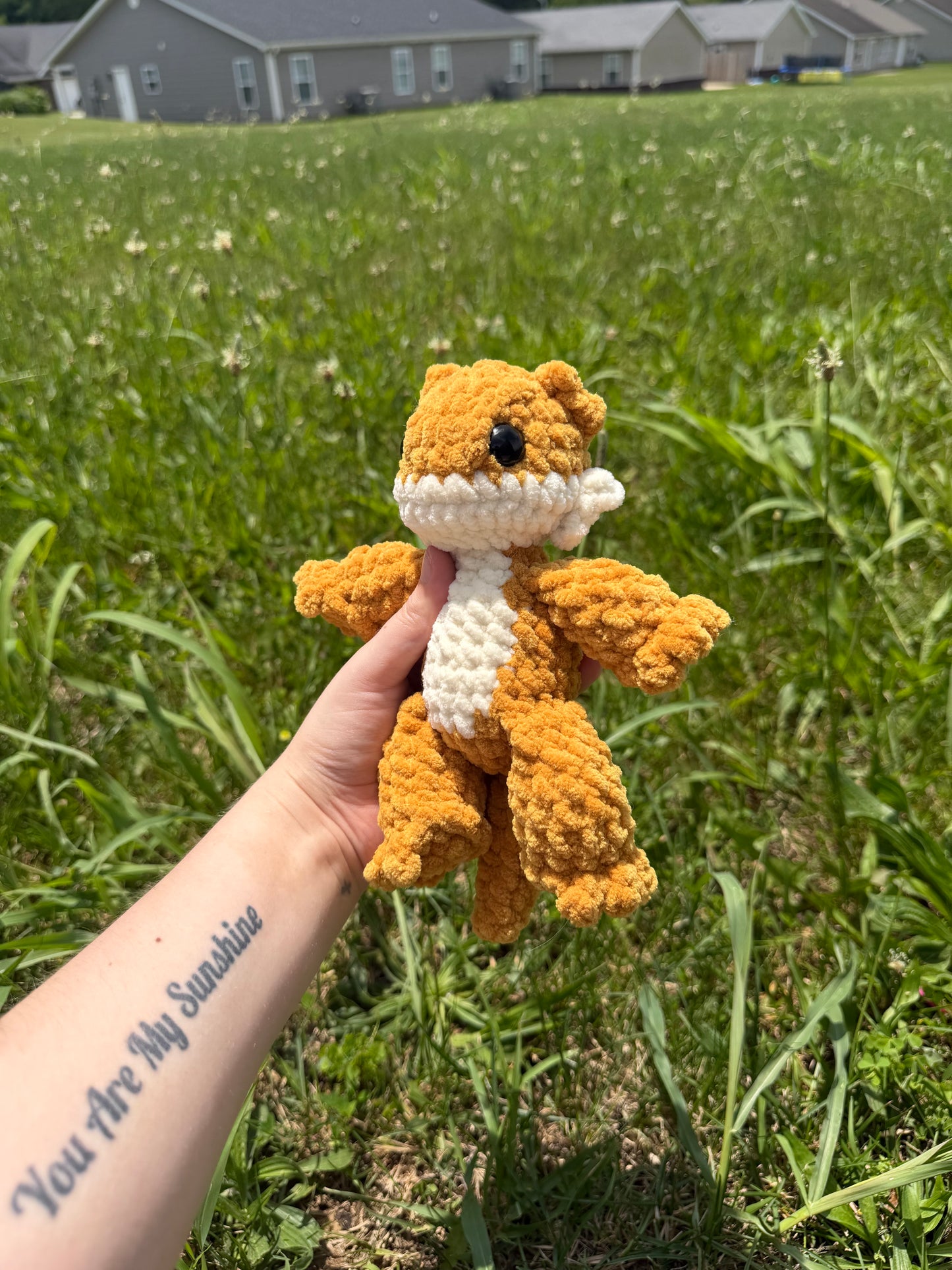 Bearded Dragon