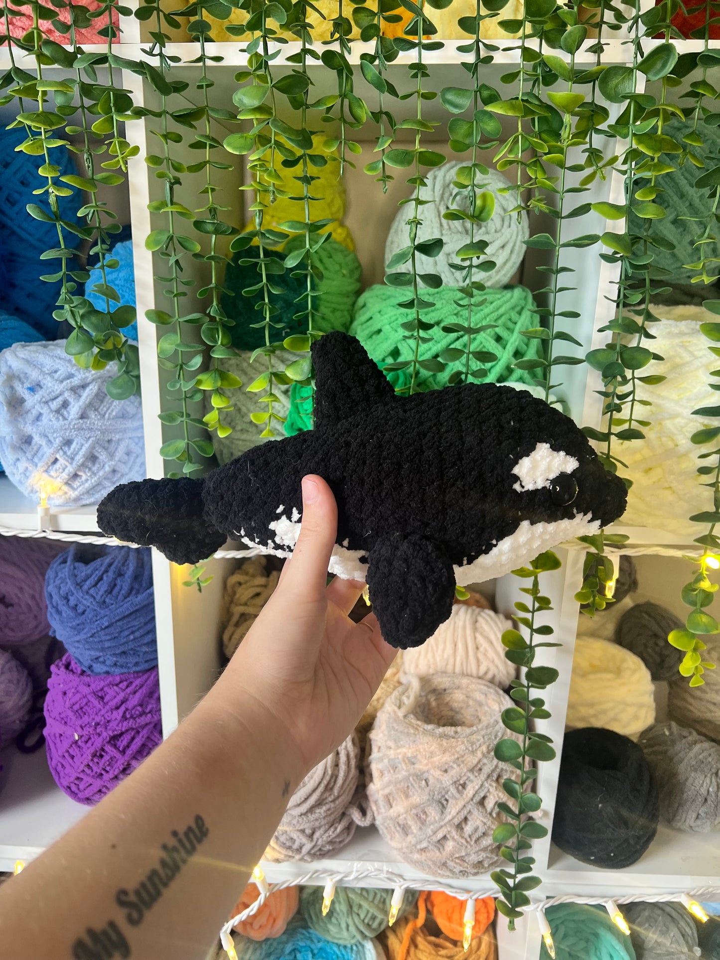 Orca