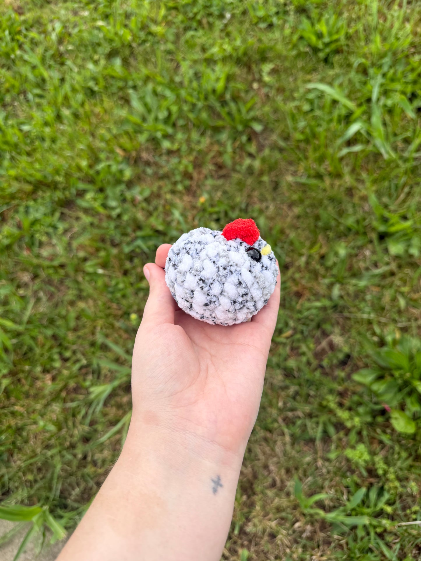 Small chicken