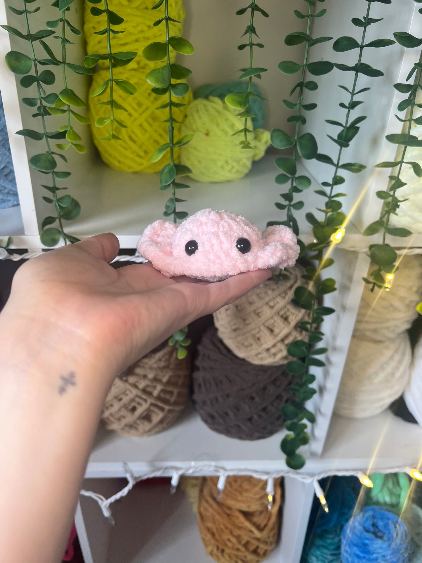 Mini Stingray