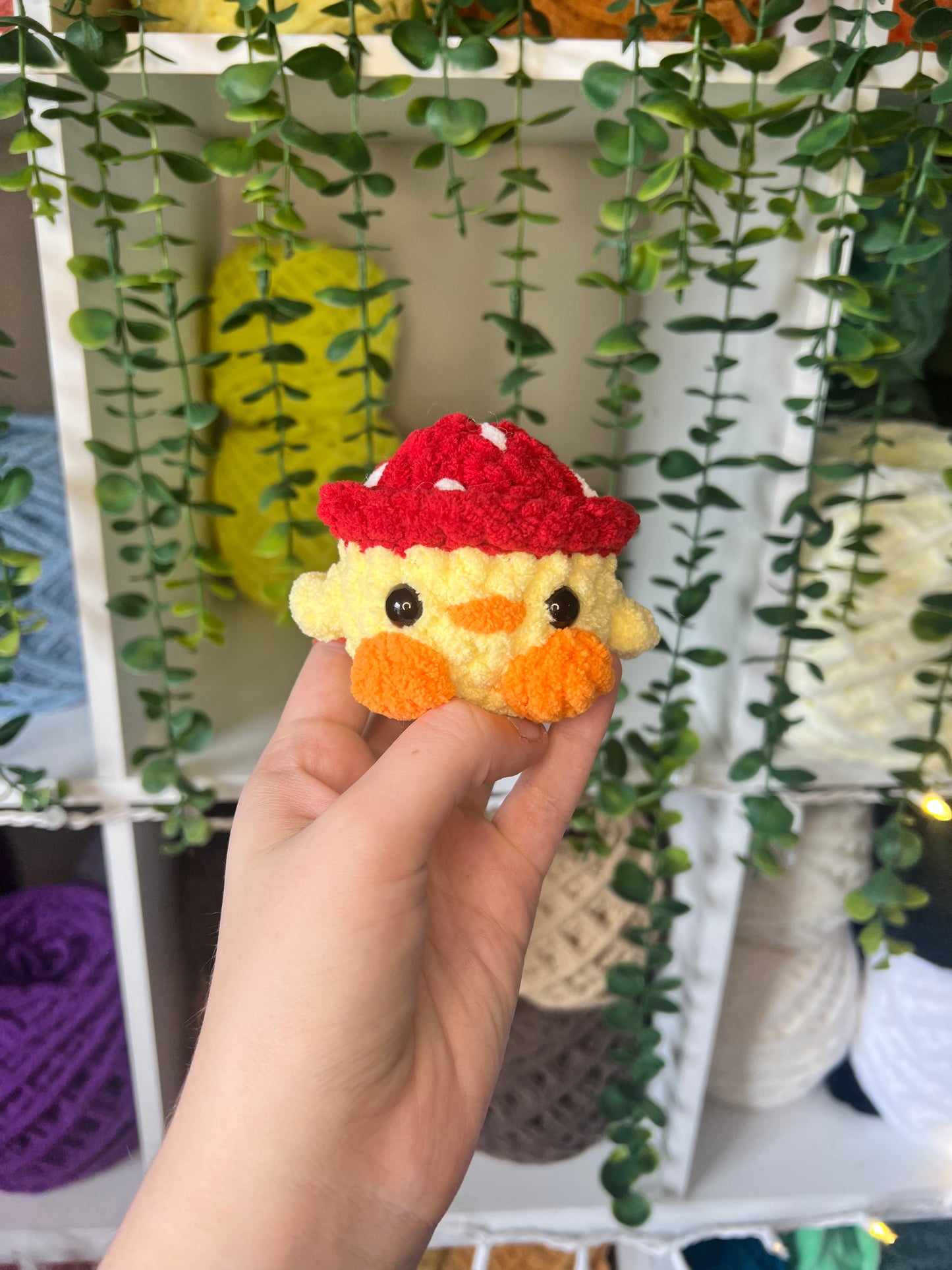 Chick in MushroomHat