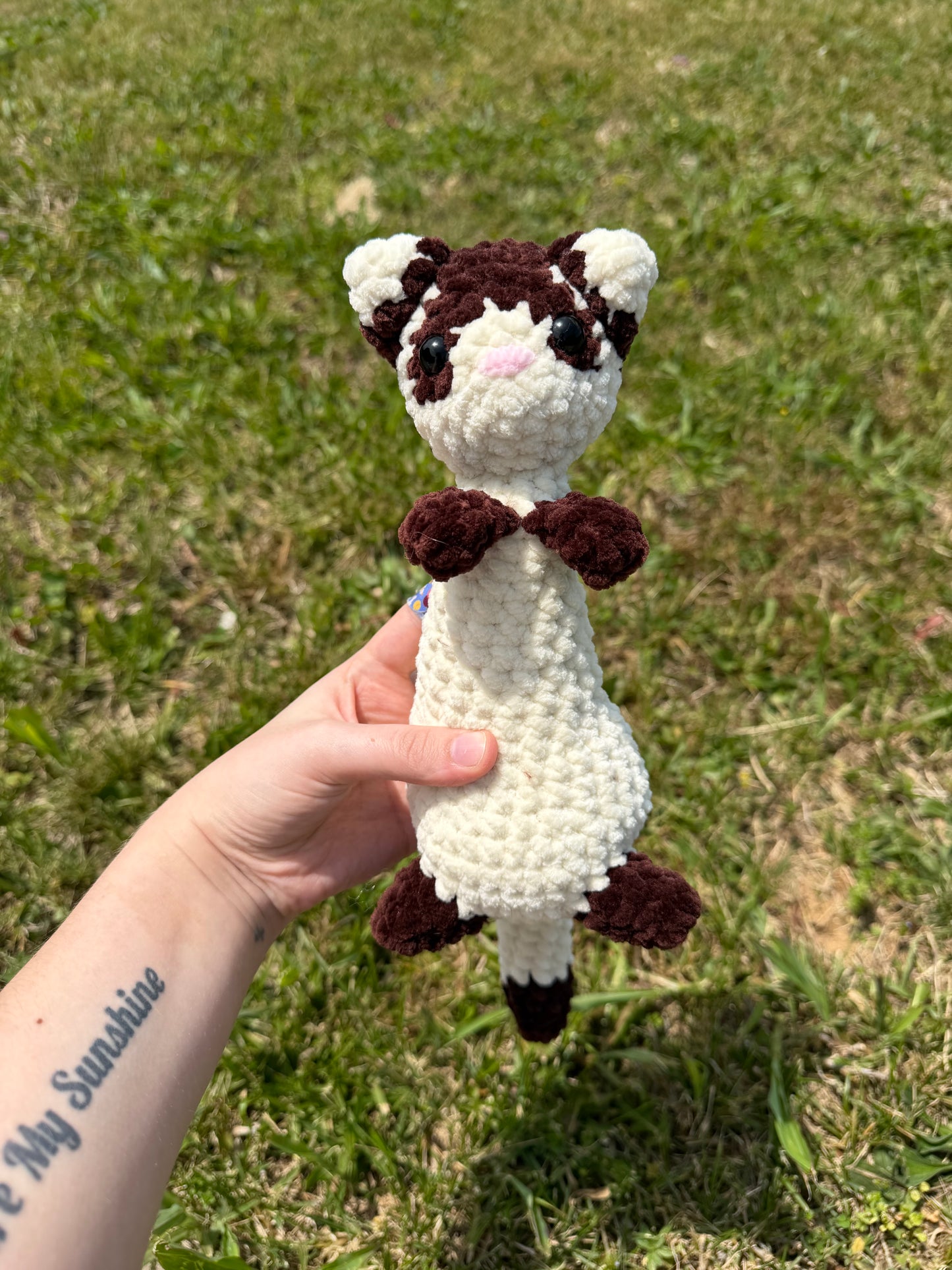 Ferret