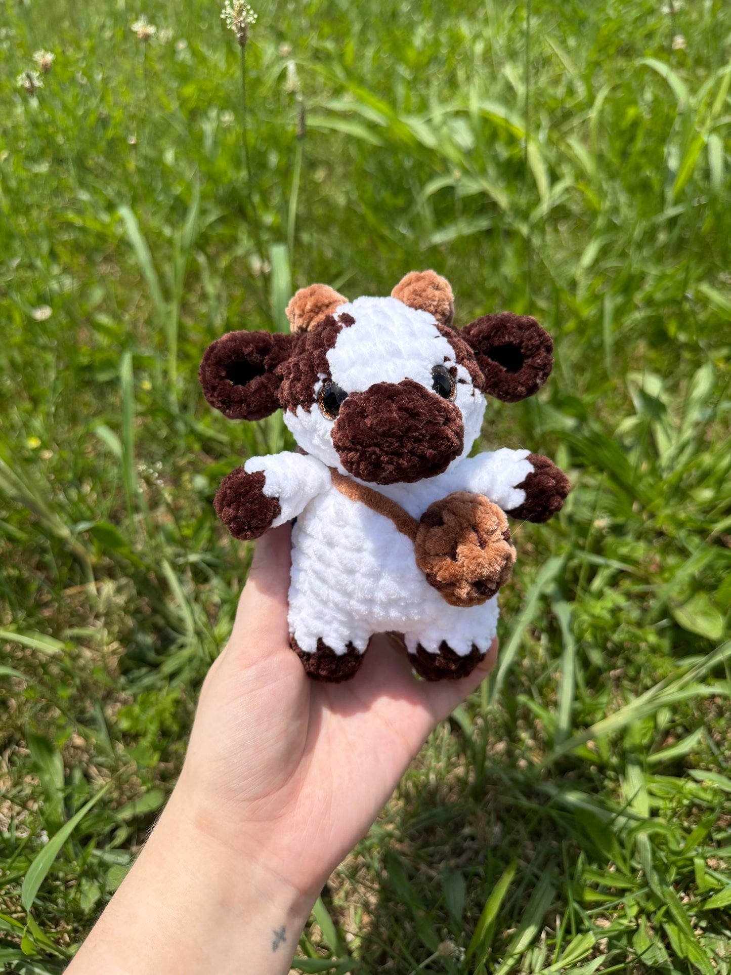 Baby Cows