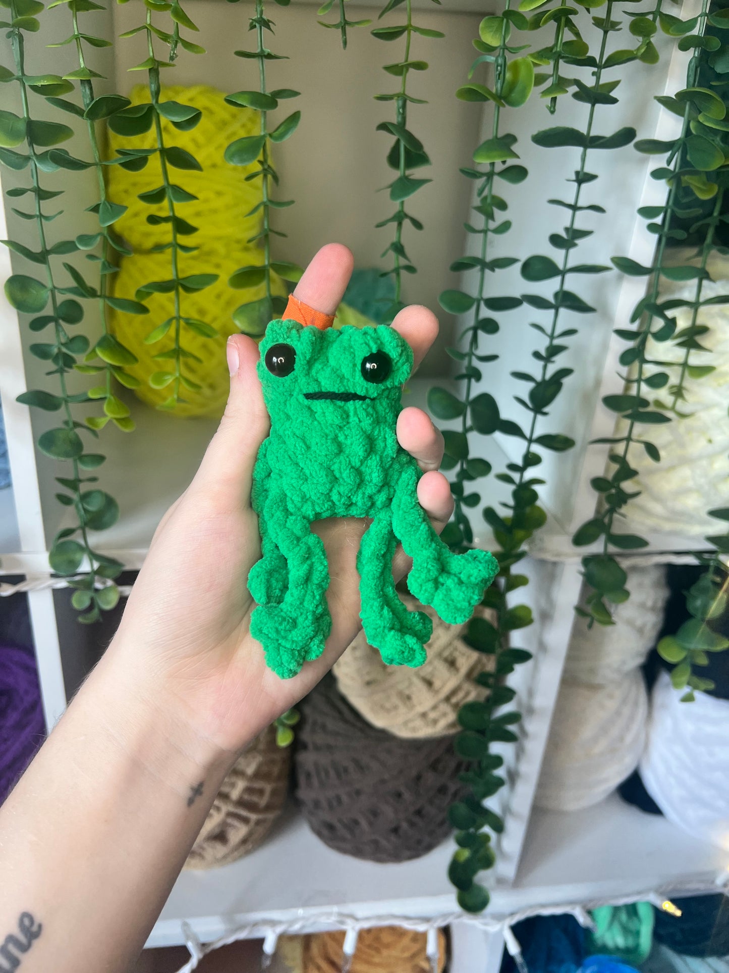 Baby Leggy Frogs