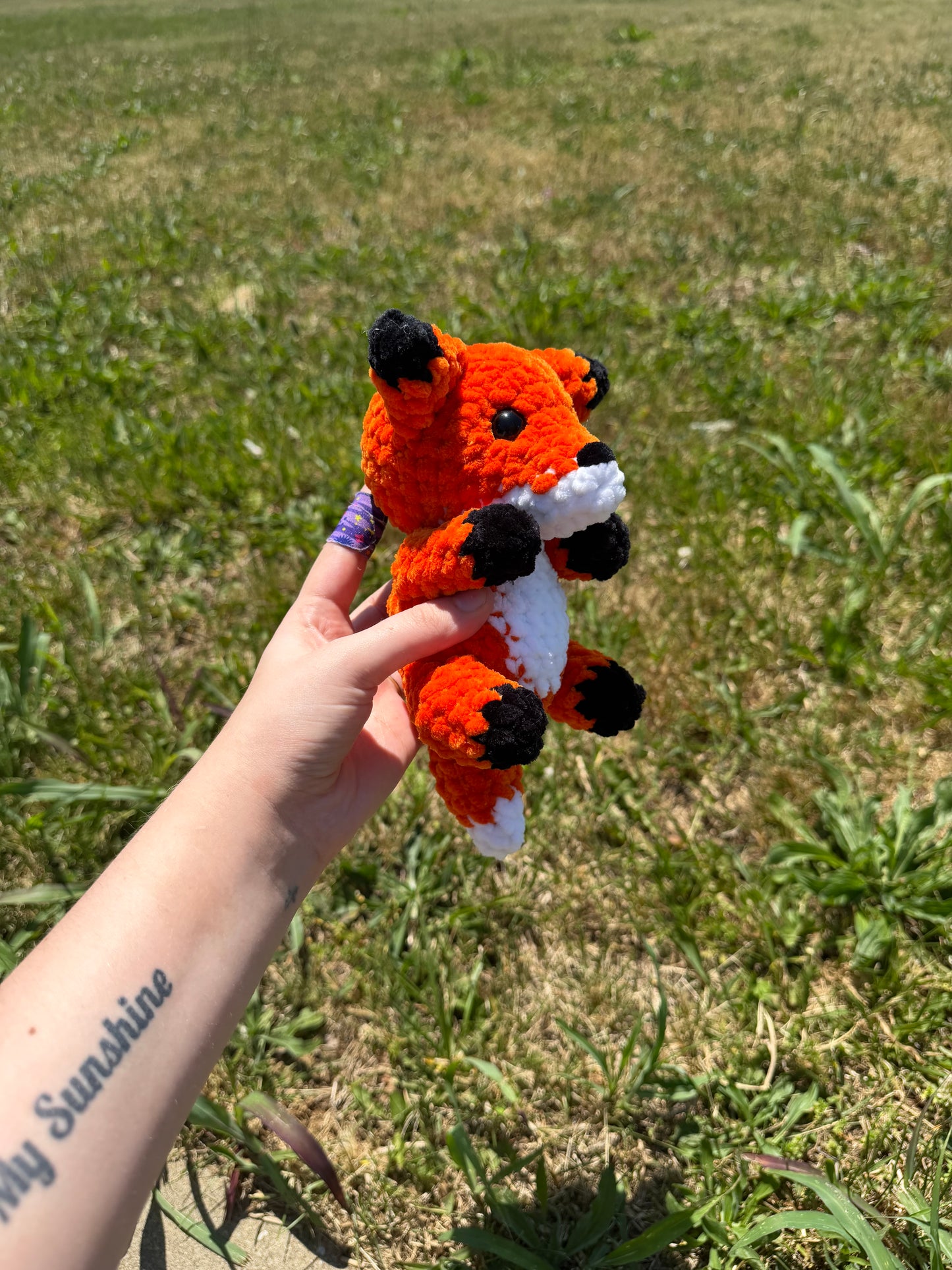 Baby Fox