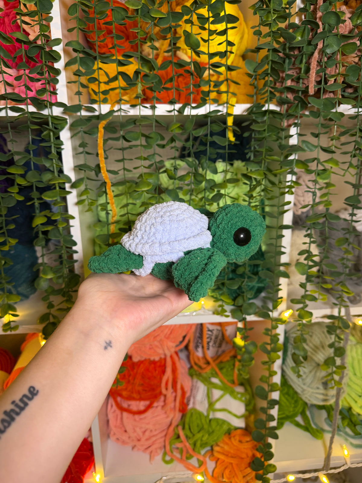 Turtle With Removable Shell