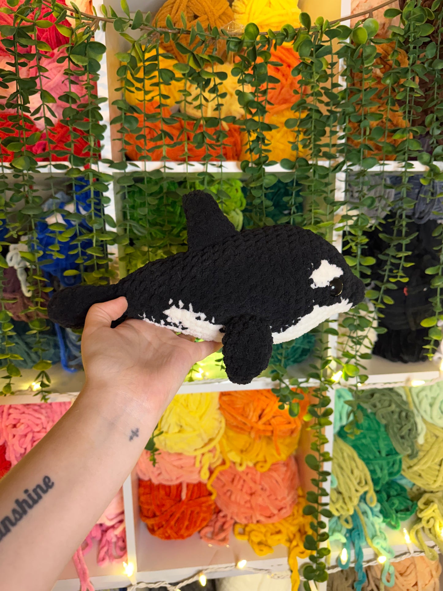 Orca