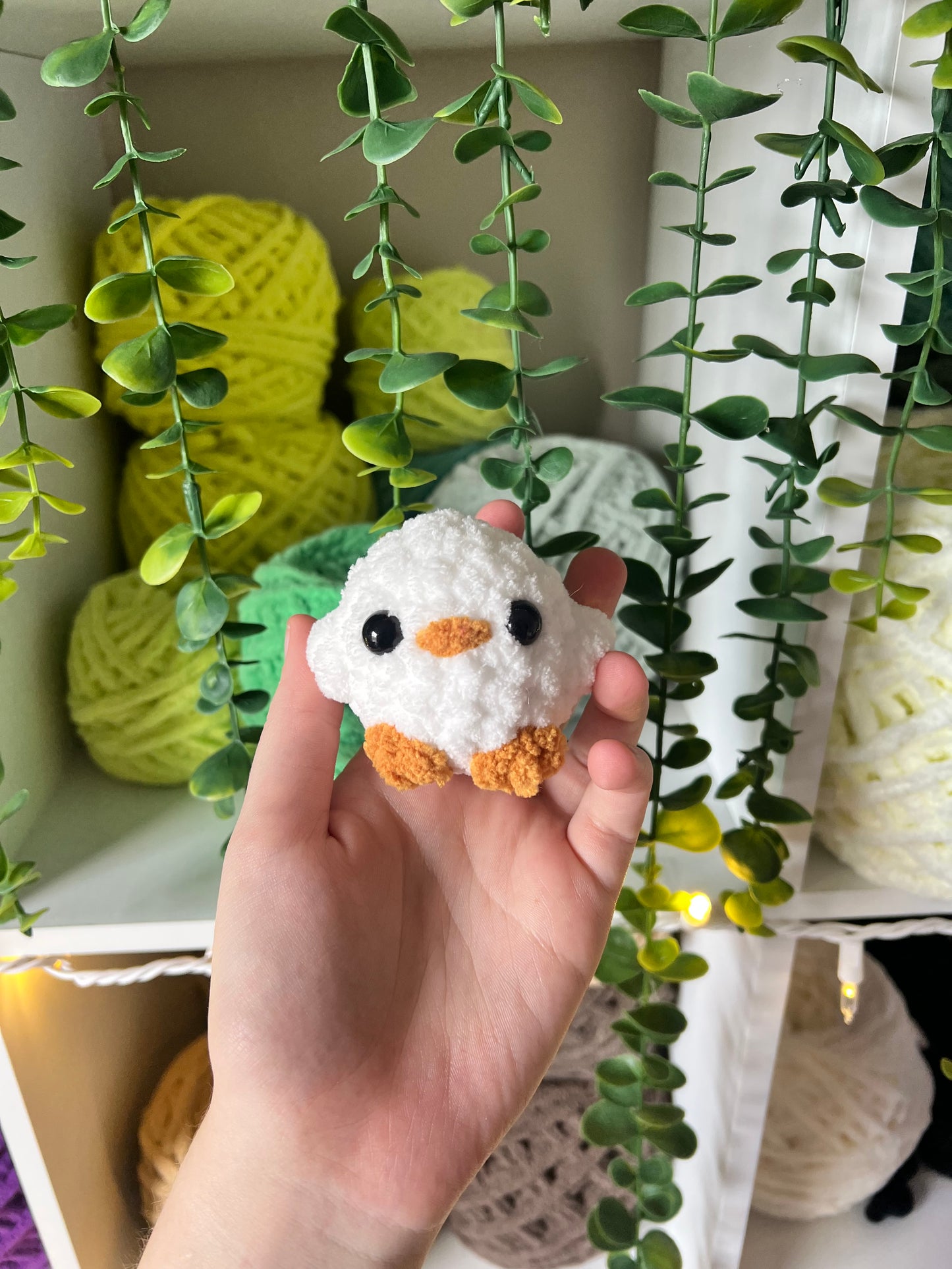 Baby Chicks