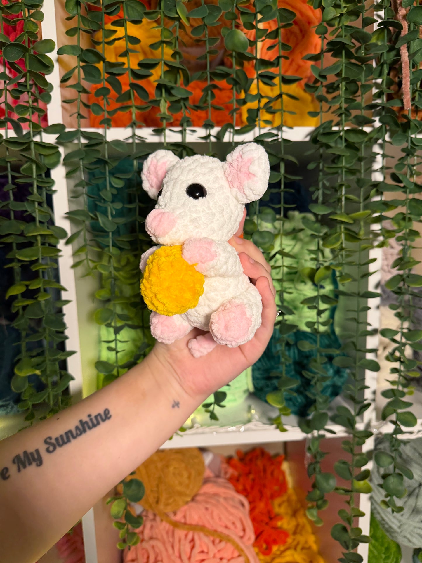 Baby Mouse Holding Cheese
