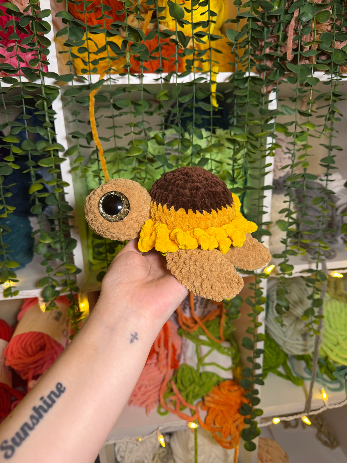 Sunflower Turtle