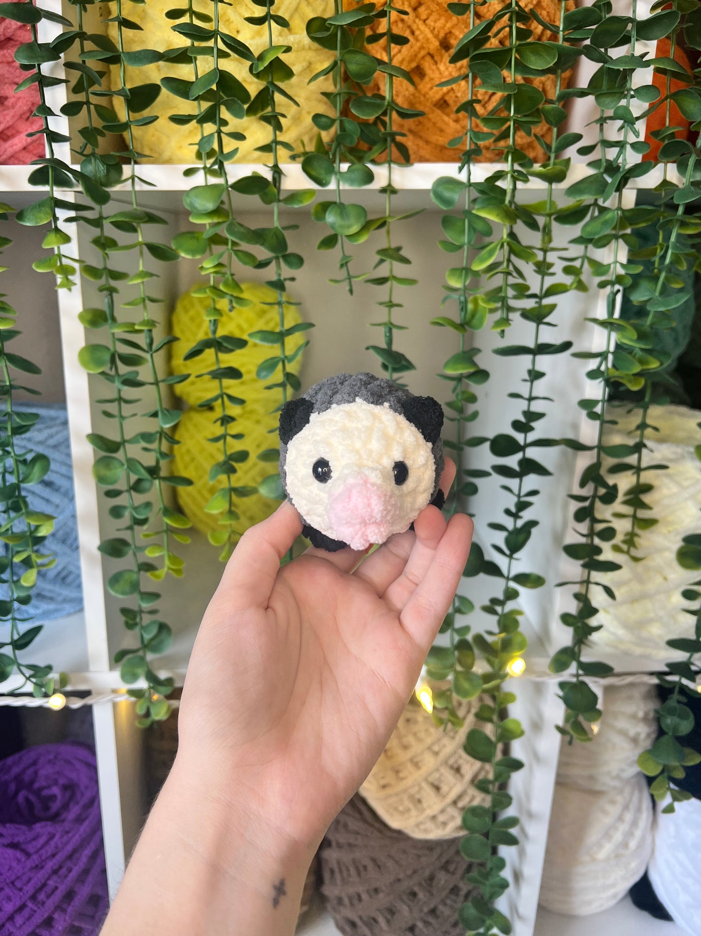 Possum