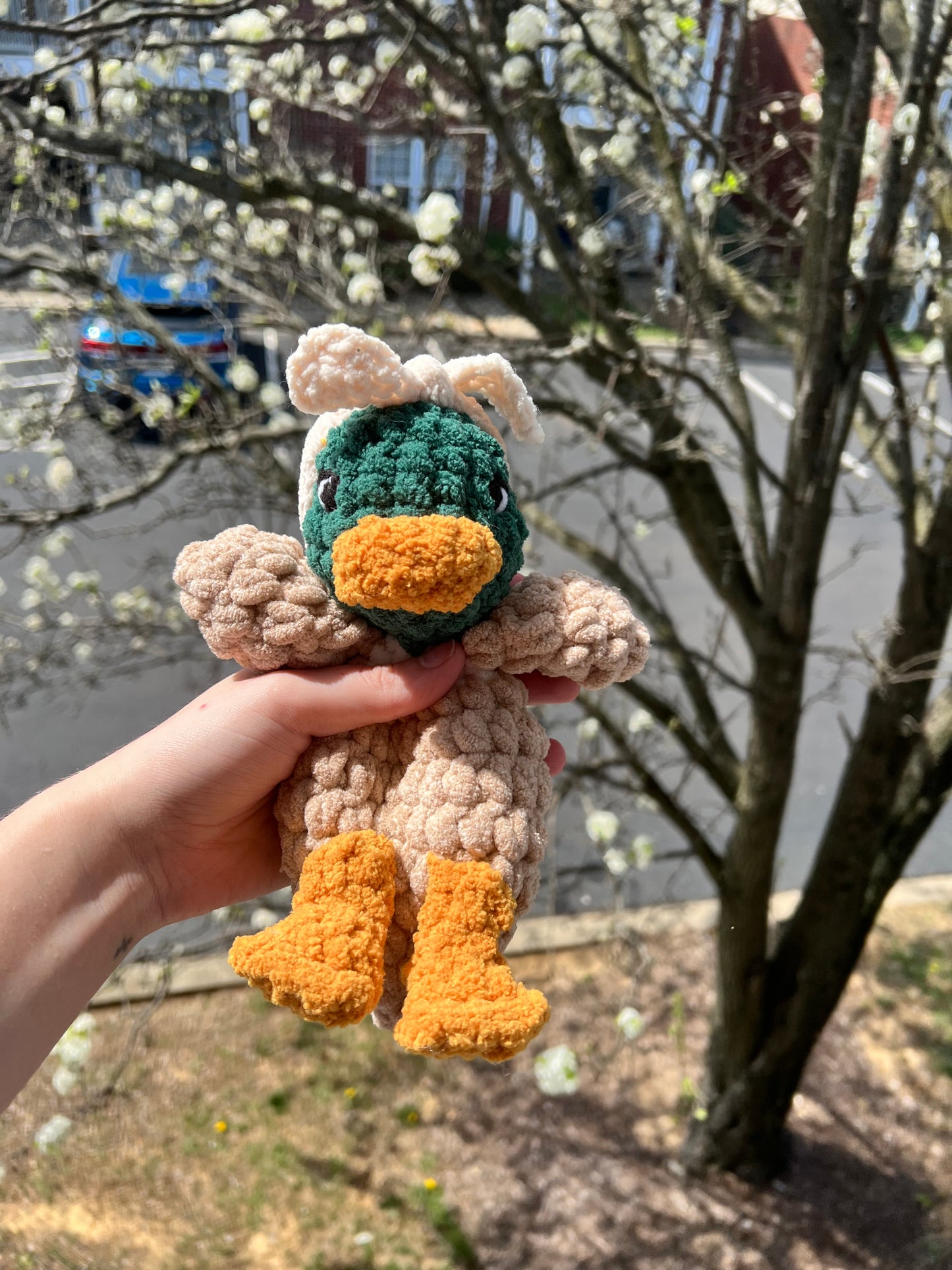 Duck Snugglers