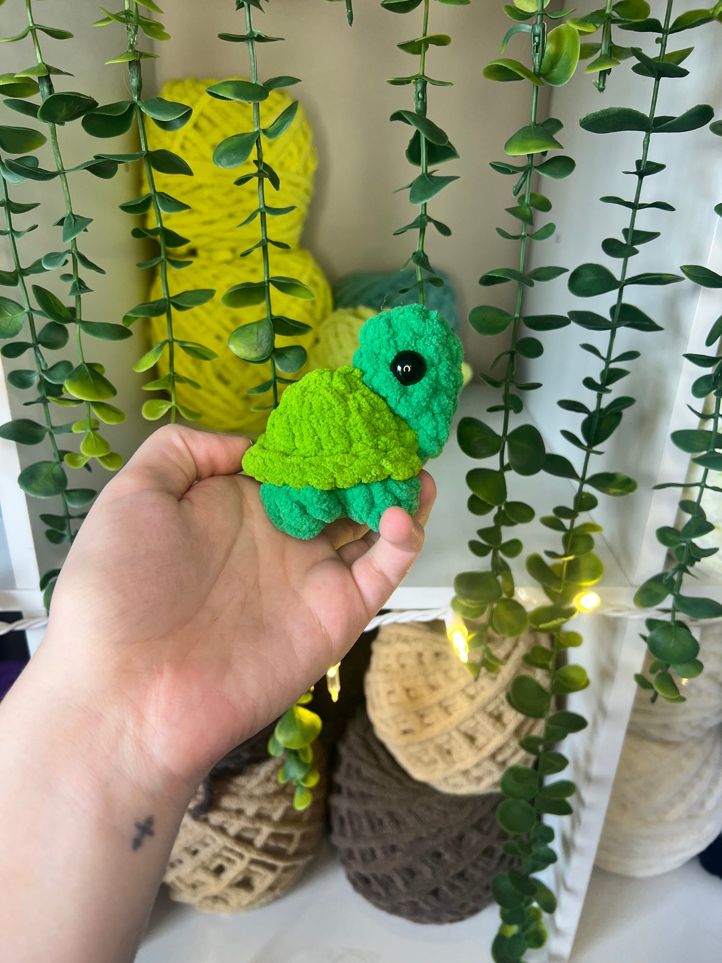 Mini Turtles