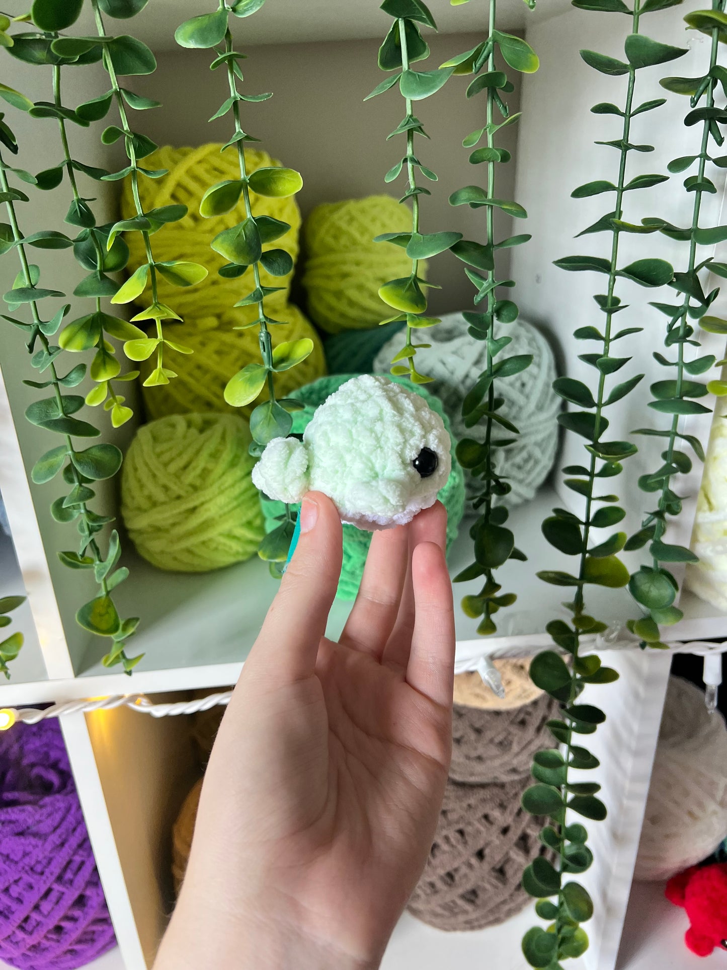 Mini Whales