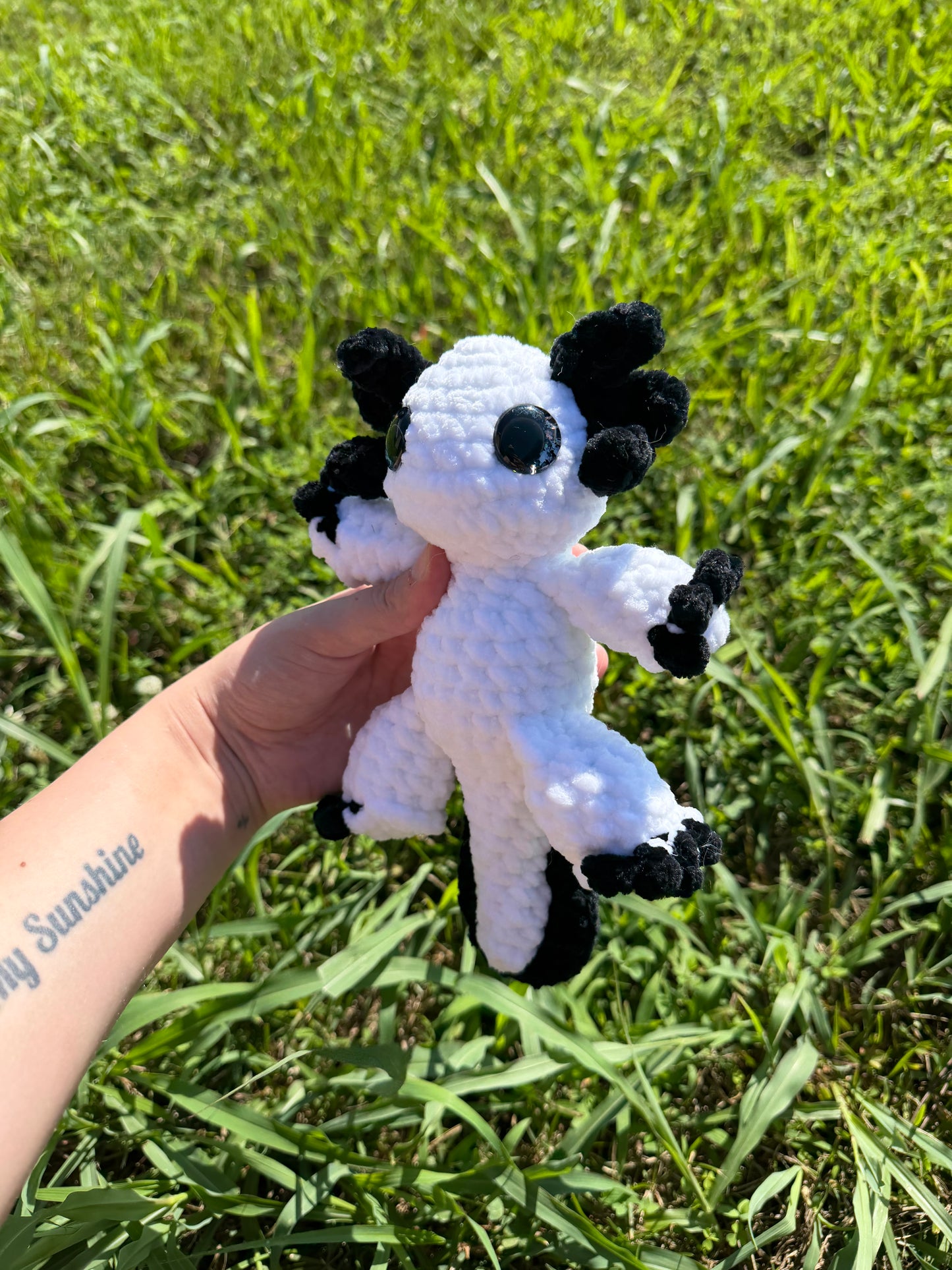 Axolotl