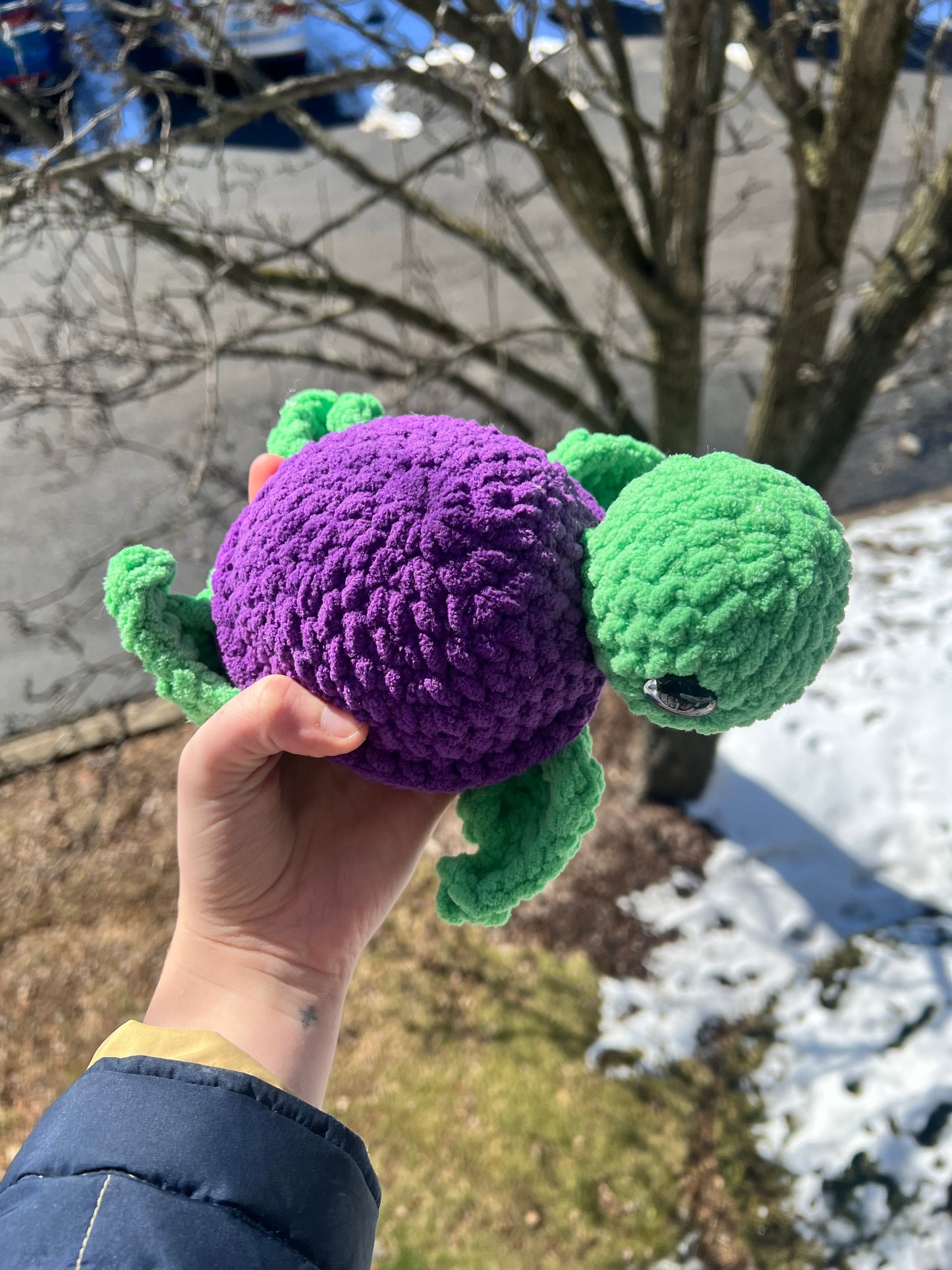 Large turtle