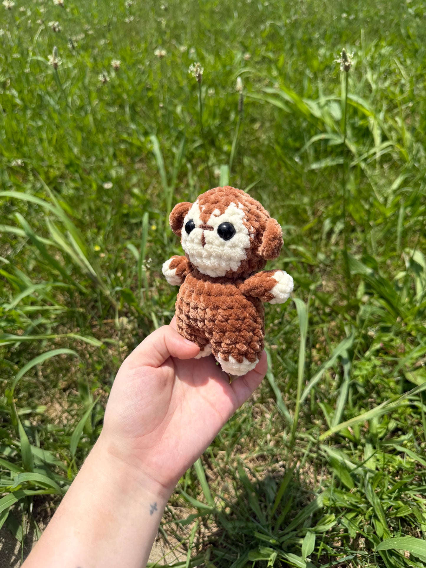 Mini Monkey