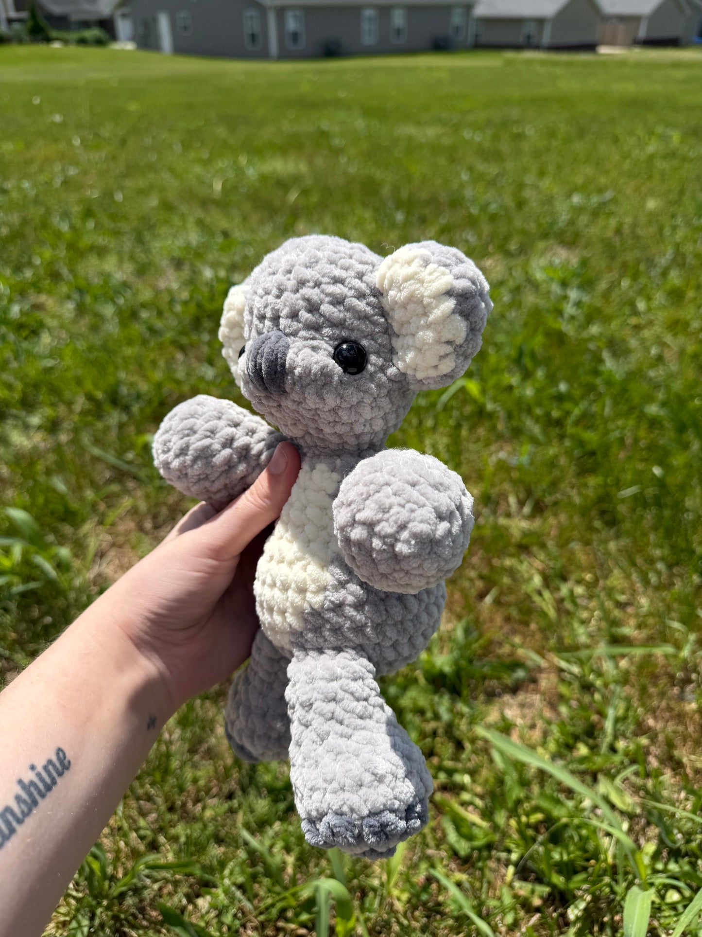 Koala