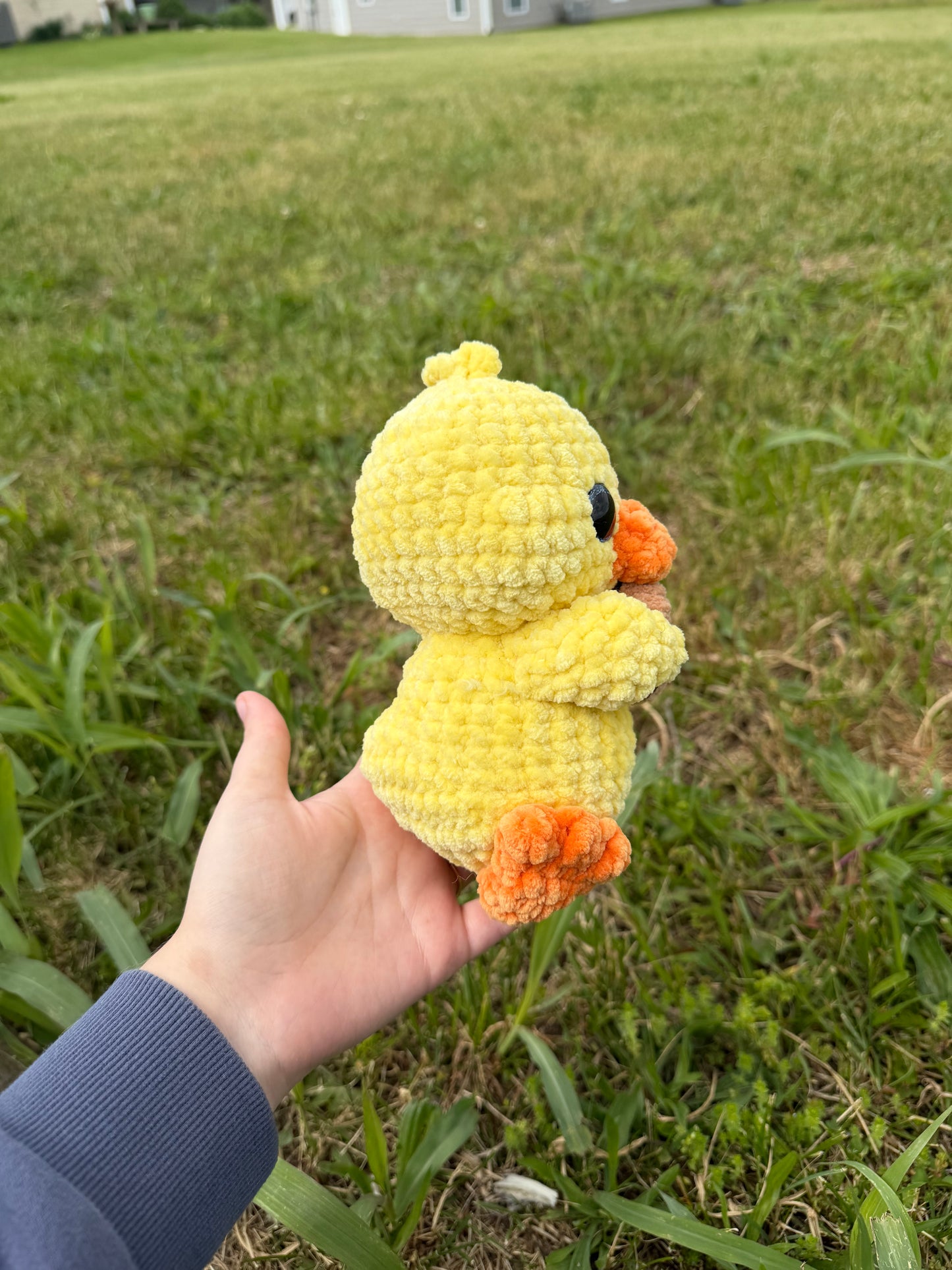 Duck Holding a Cookie
