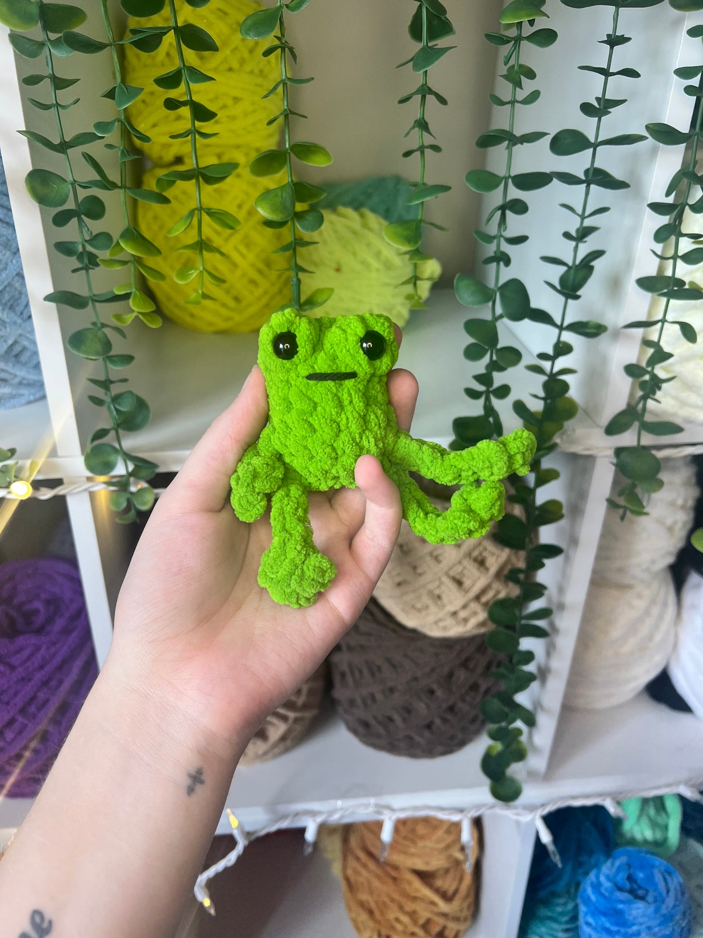 Baby Leggy Frogs