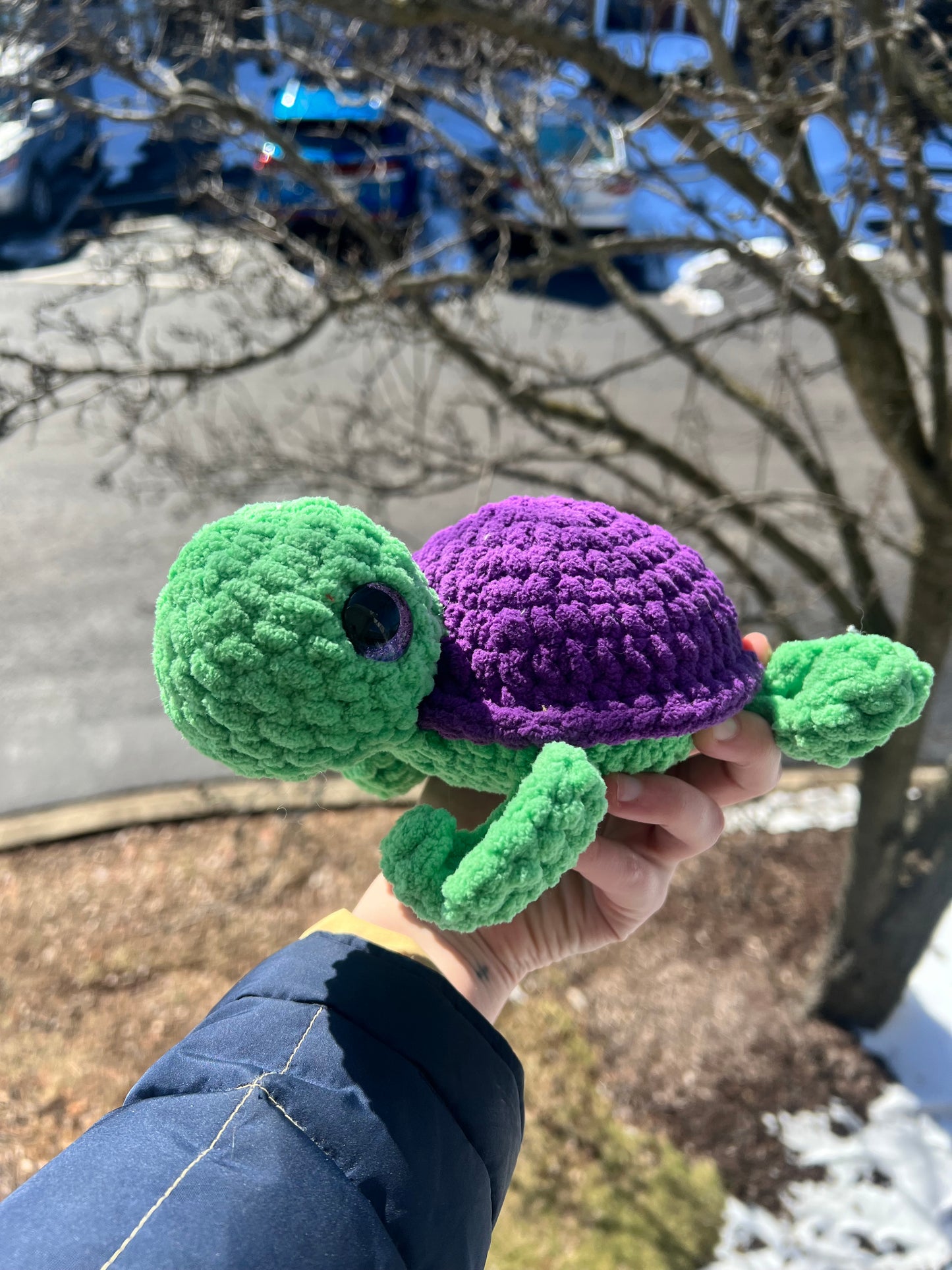 Large turtle