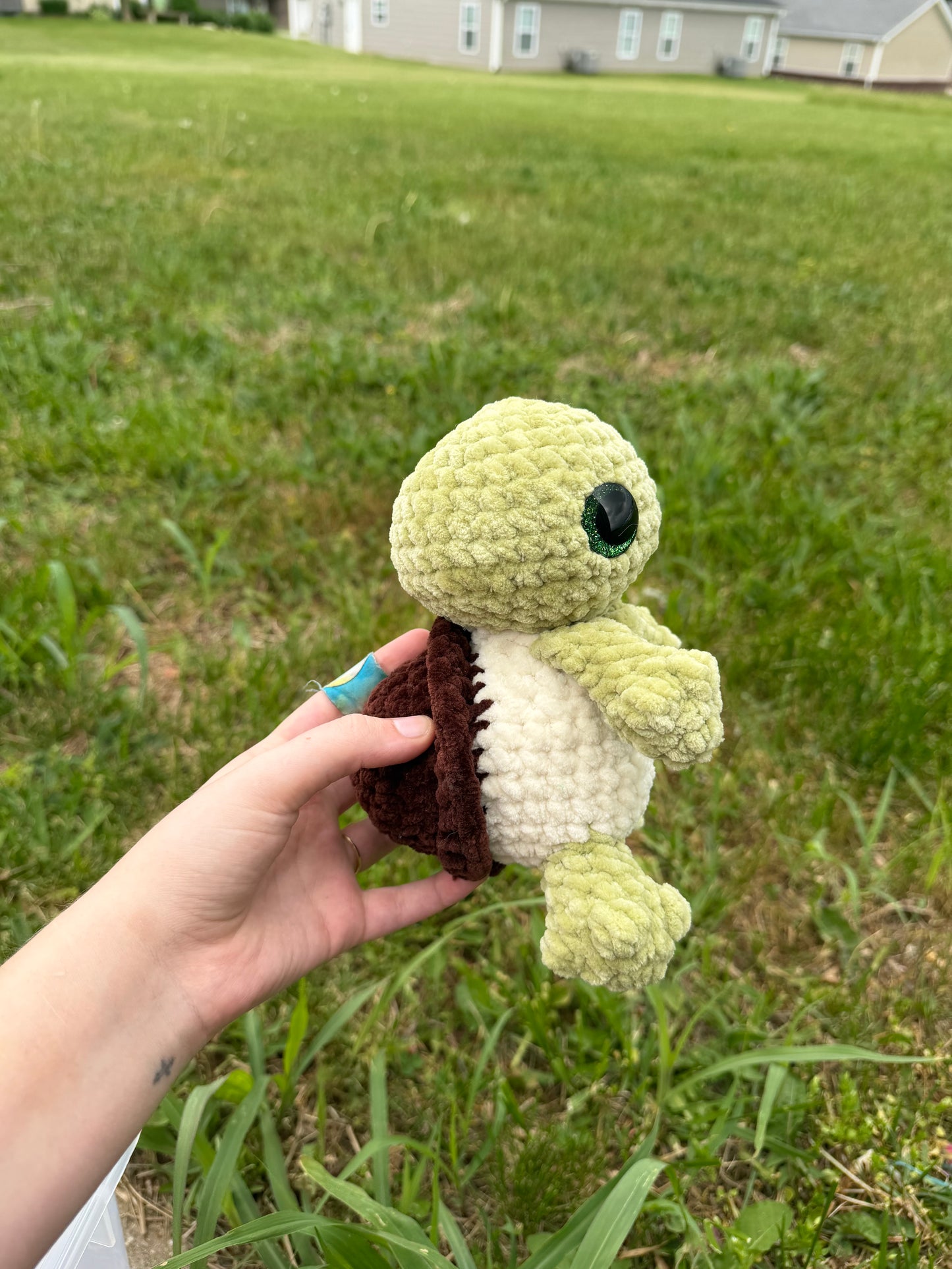 Bubbles the Baby Turtle