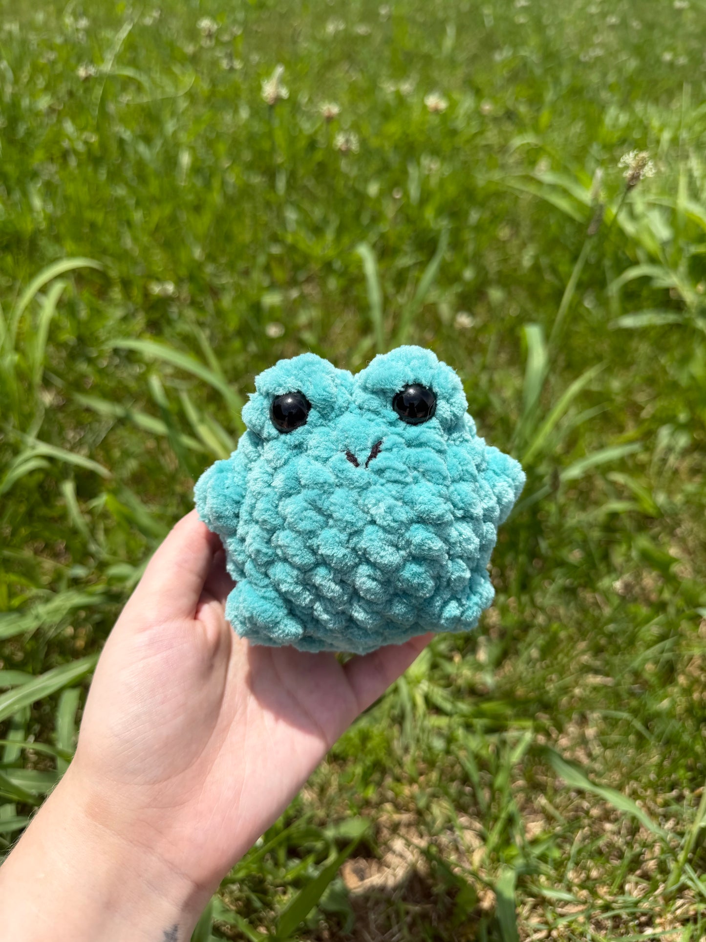 Large Chubby Frogs