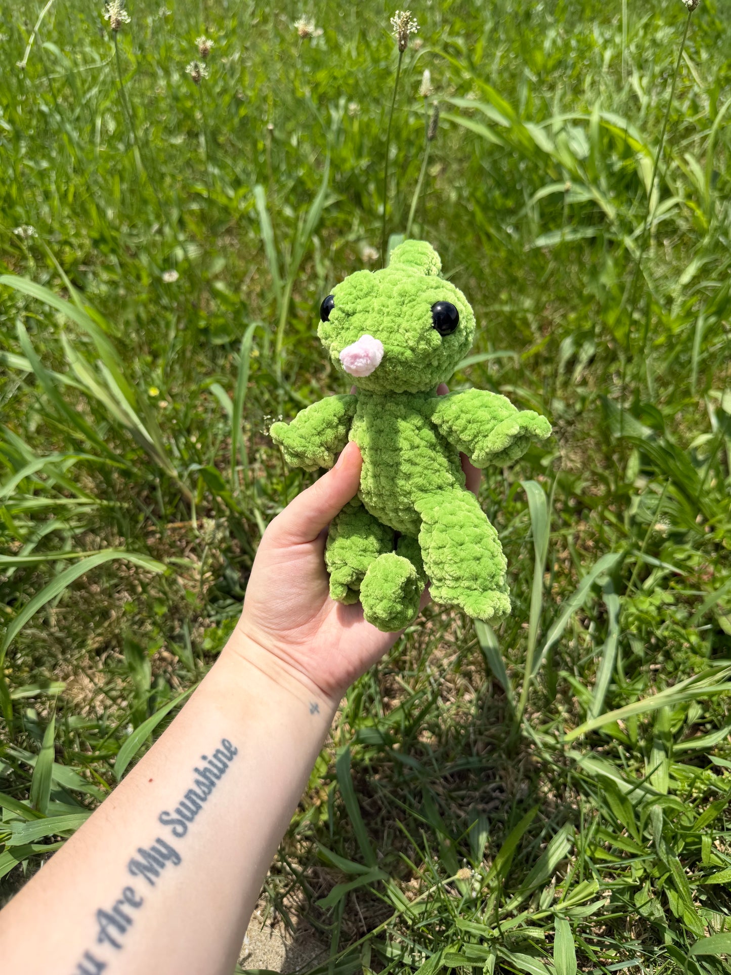 Chameleon