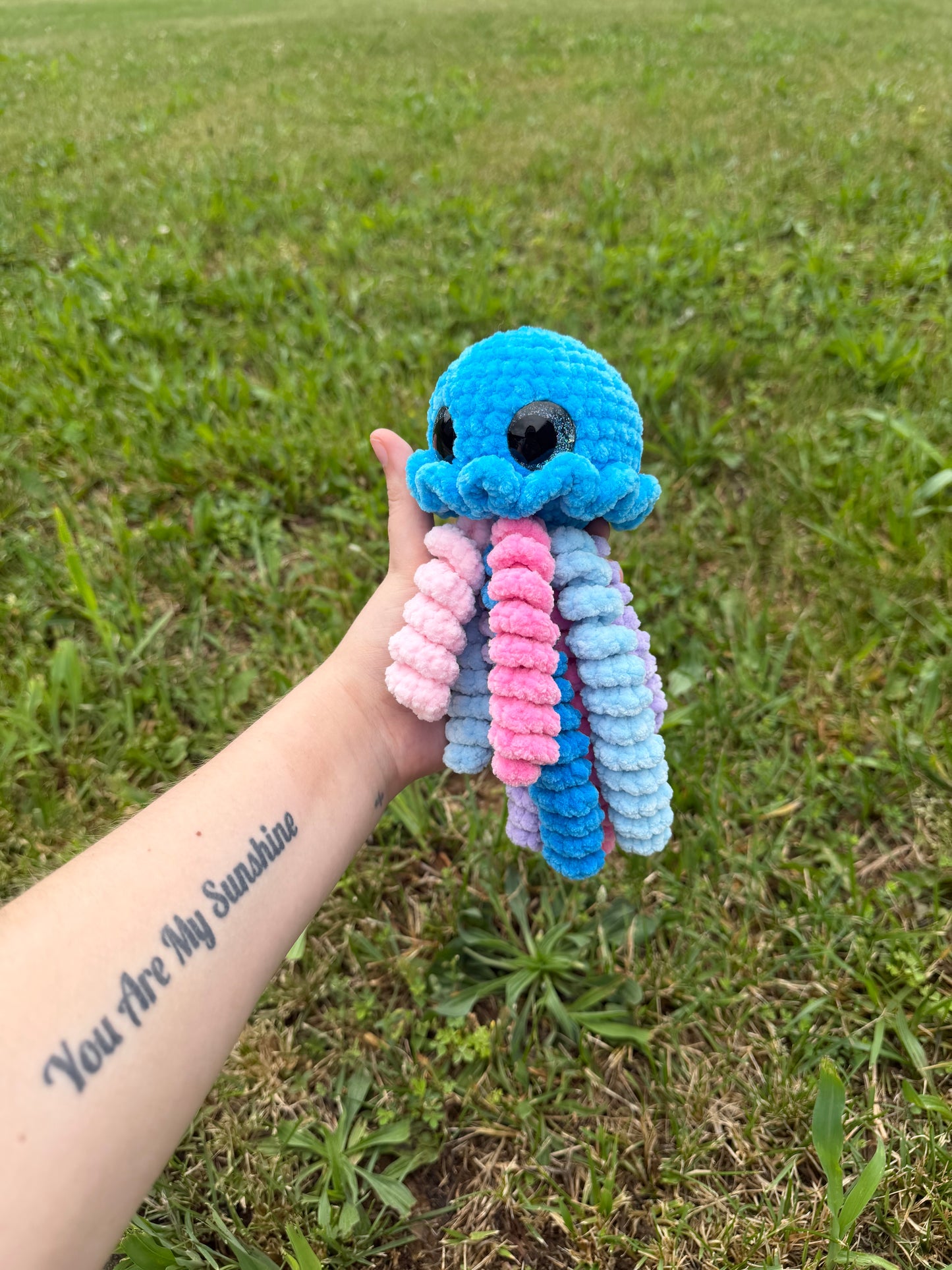 Jellyfish