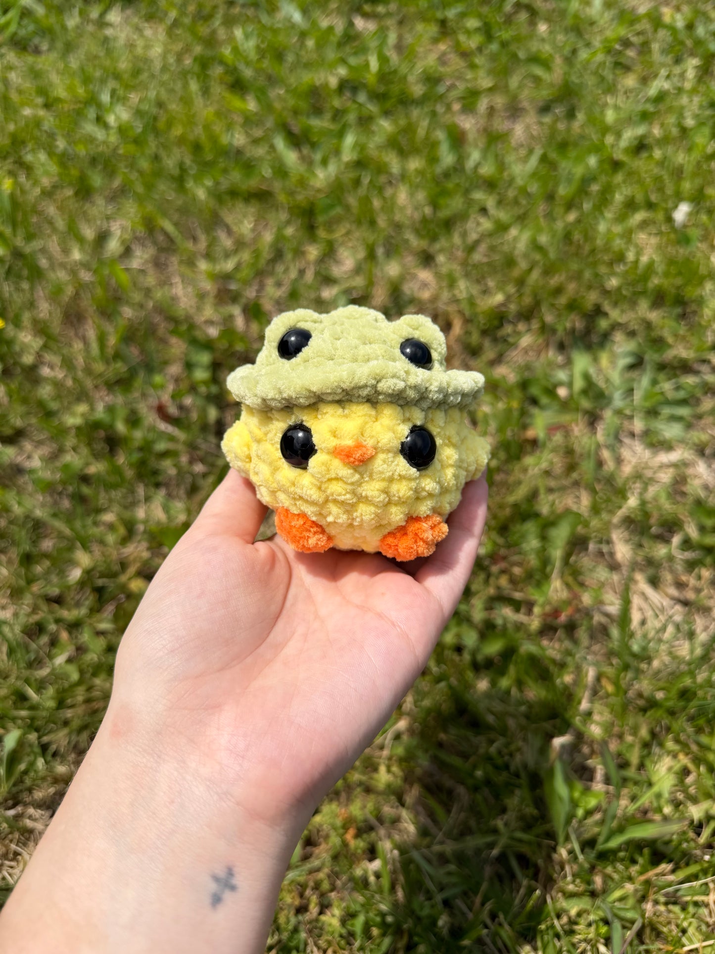Chicks in Frog Hats