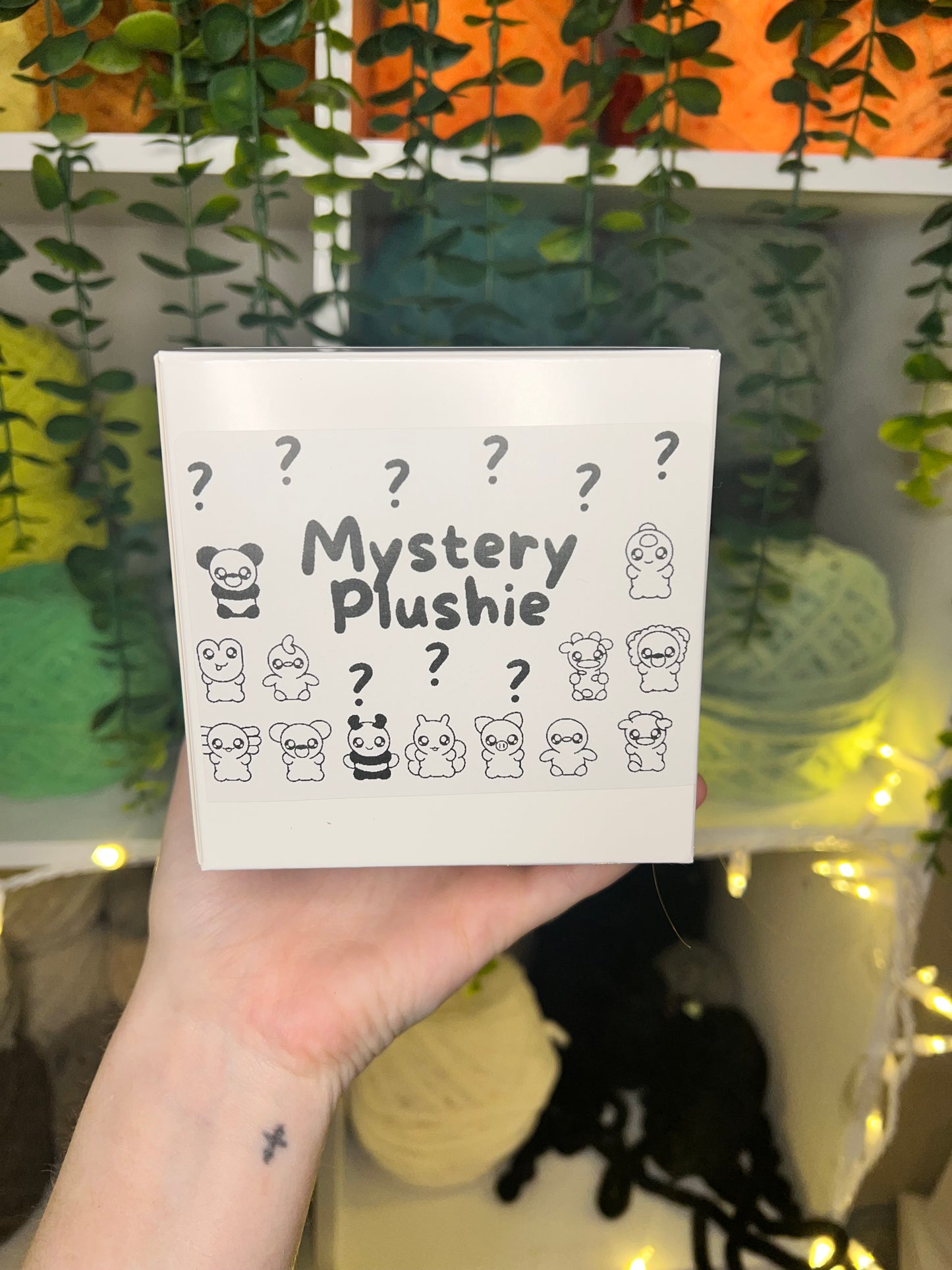 Mystery Plushies Box
