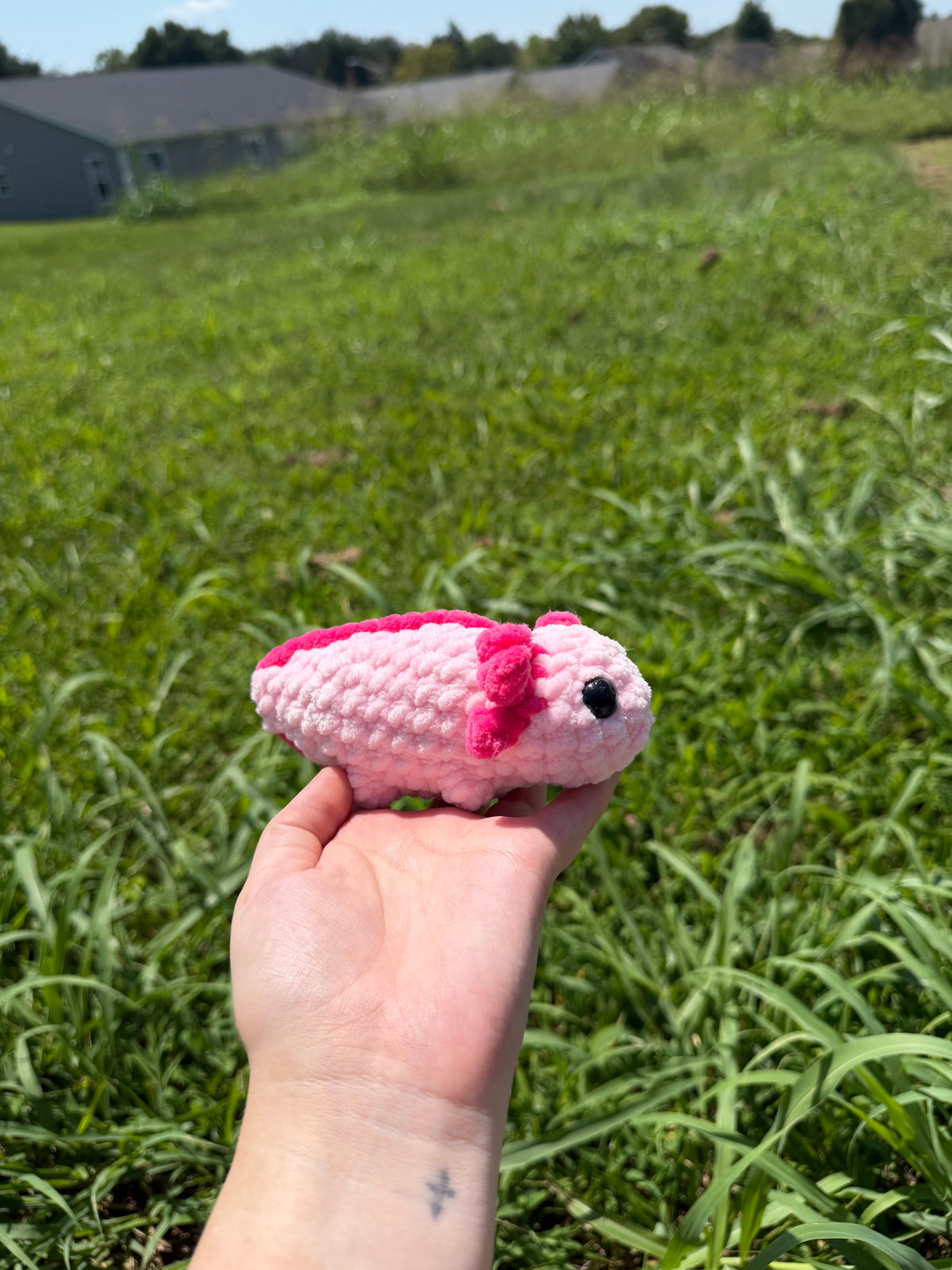 Mini Axoltls