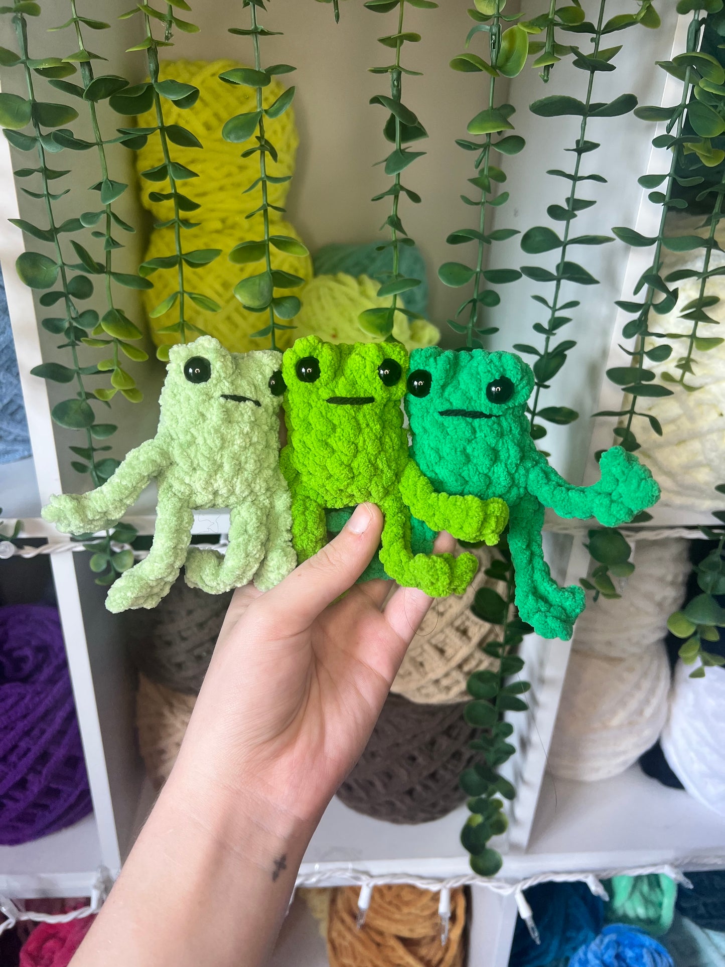 Baby Leggy Frogs