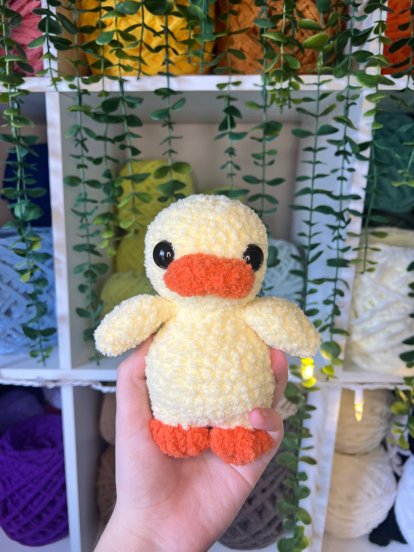 Duck