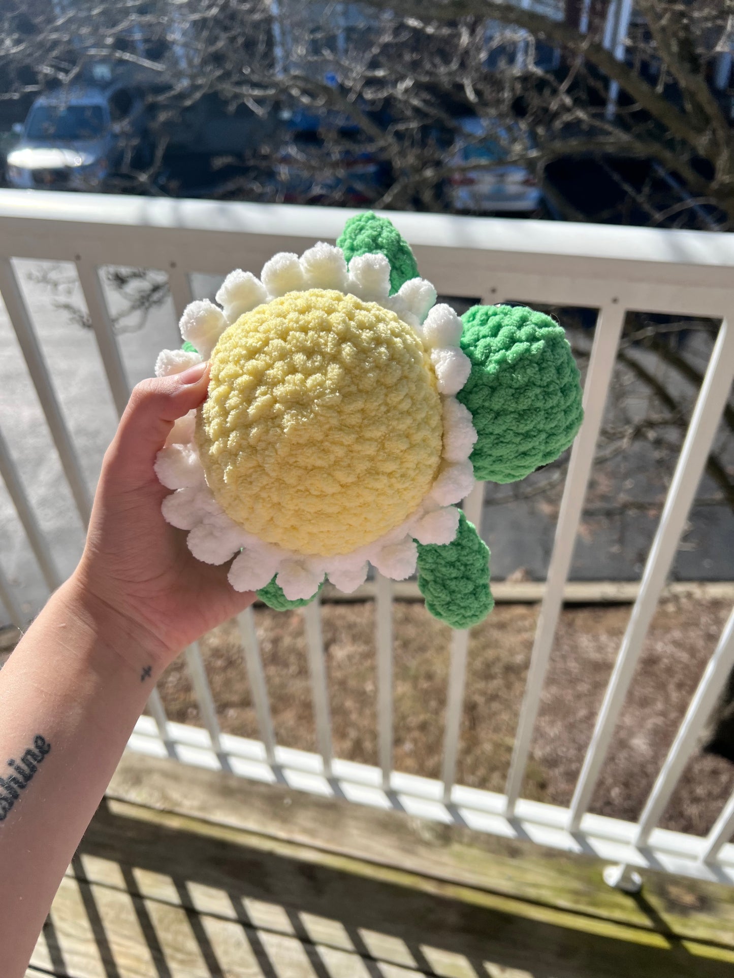 Flower Turtles