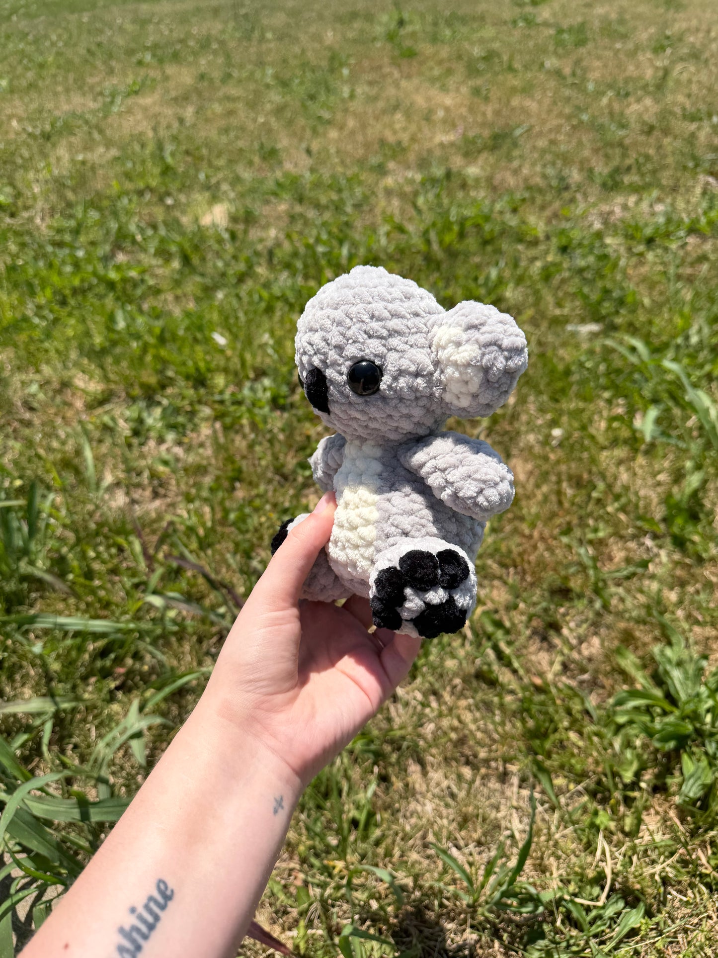 Koala