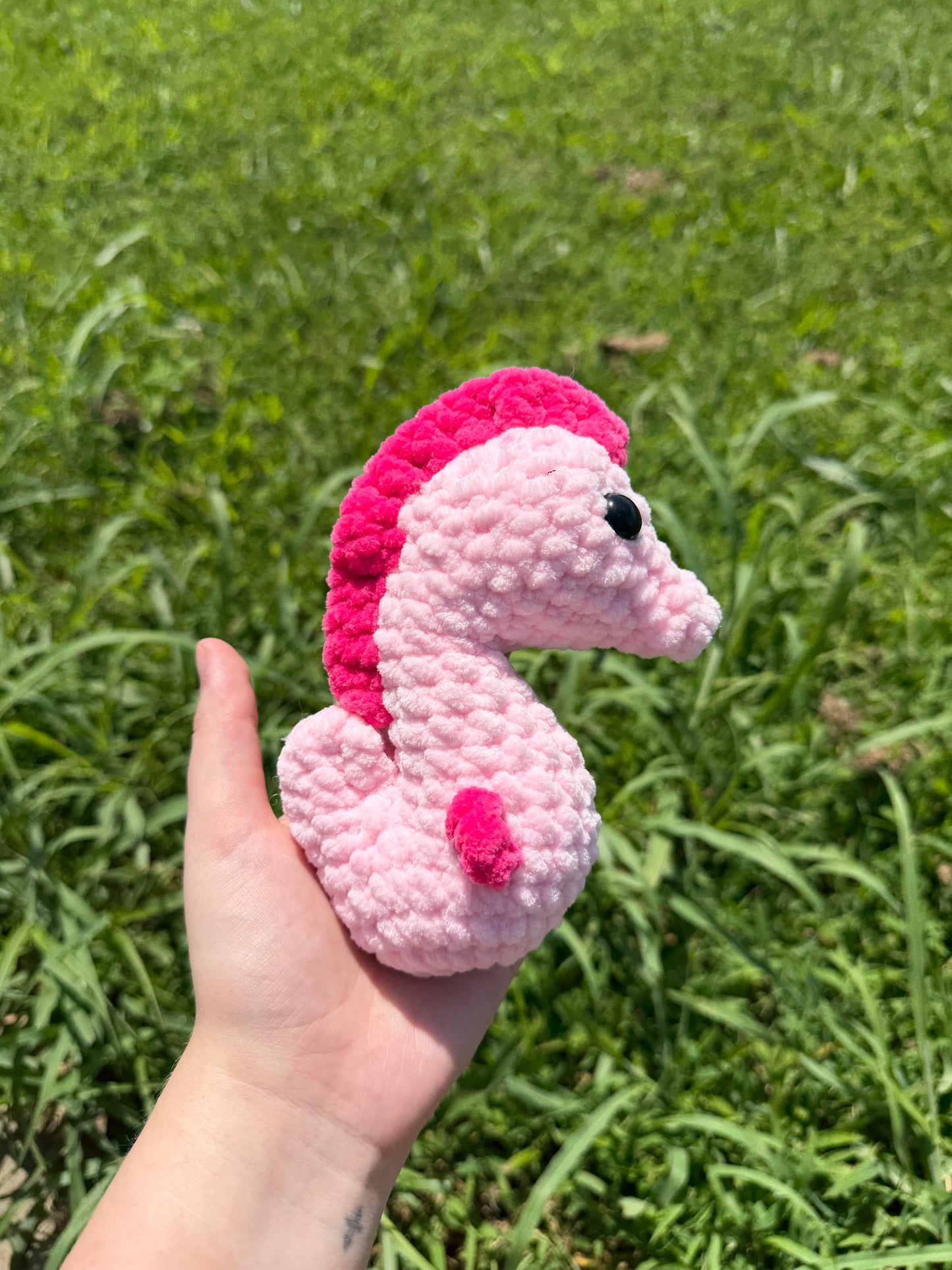 Seahorse