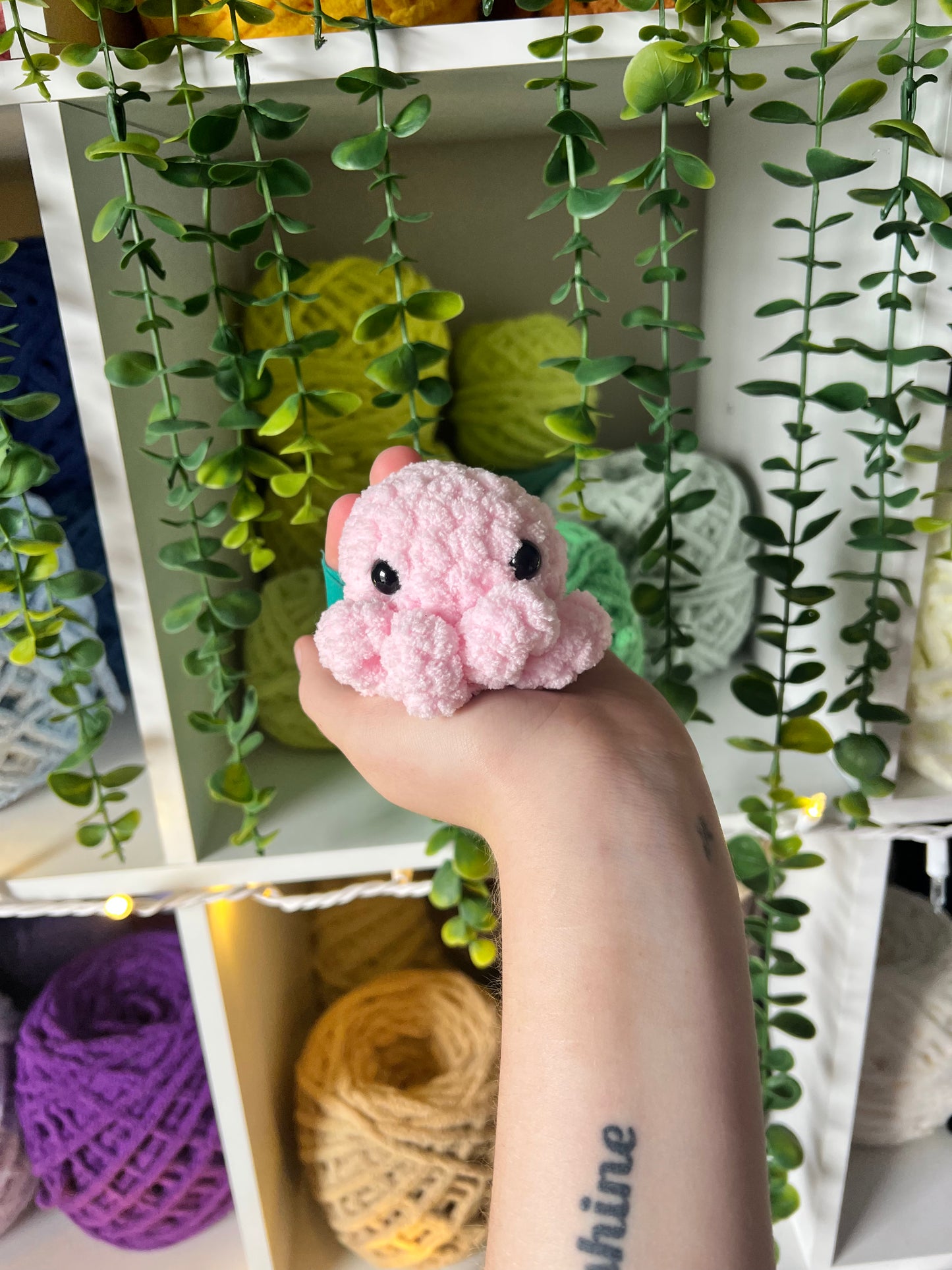 Baby Octos