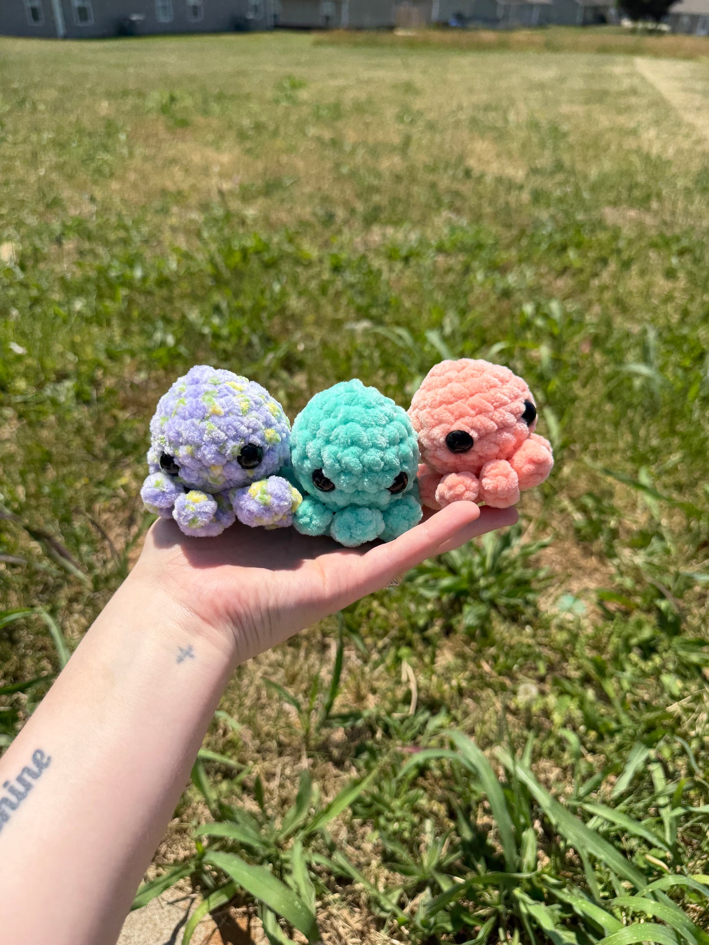 Baby Octos