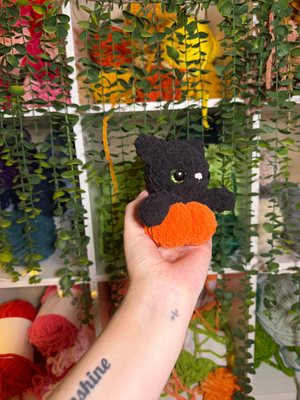 Cat in Pumpkin
