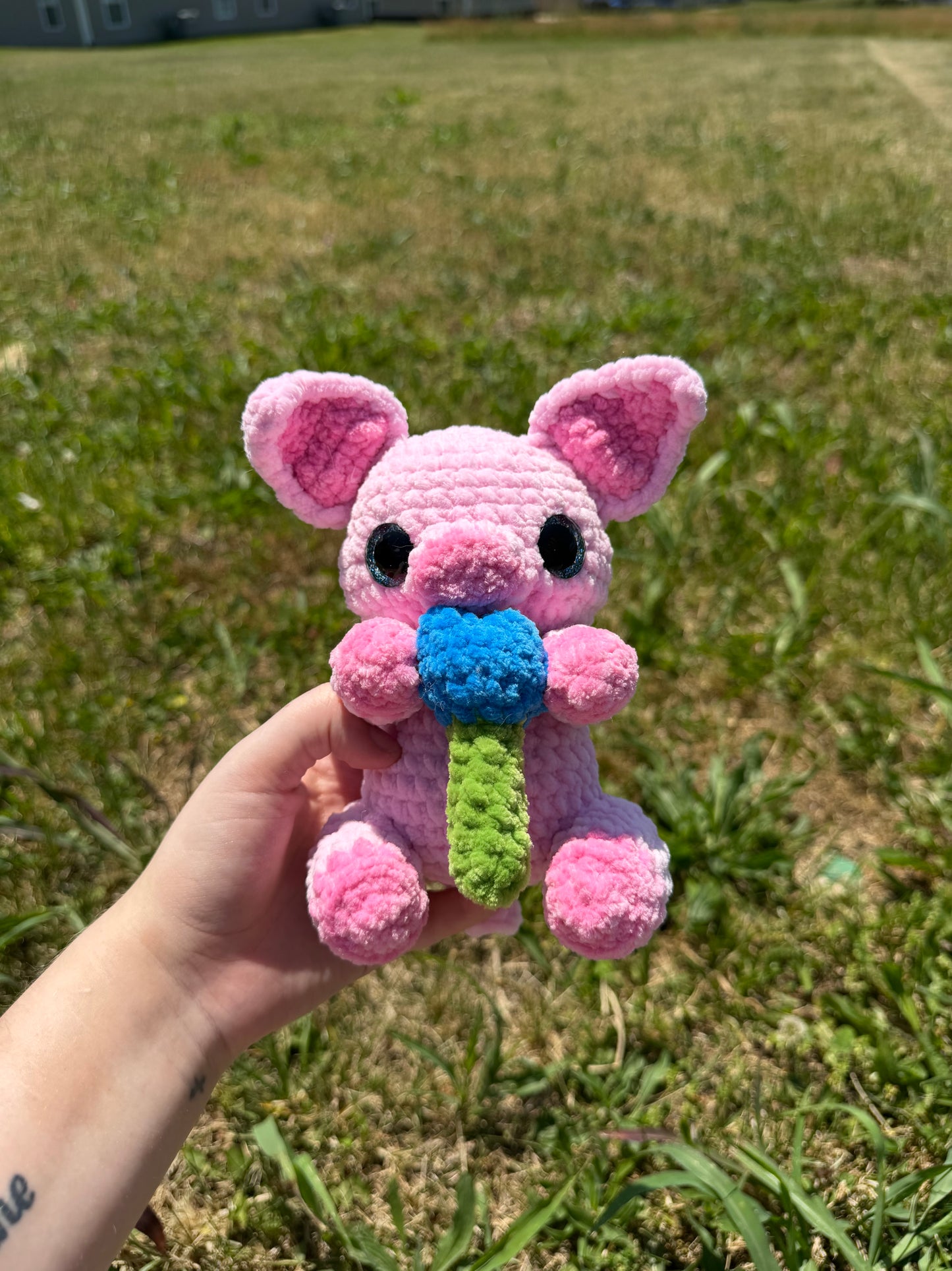 Tulip the Pig