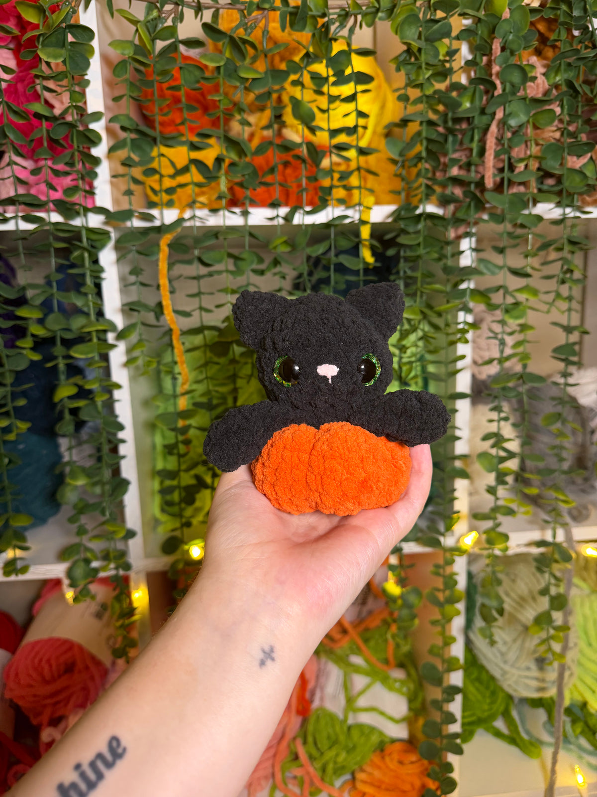Cat in Pumpkin