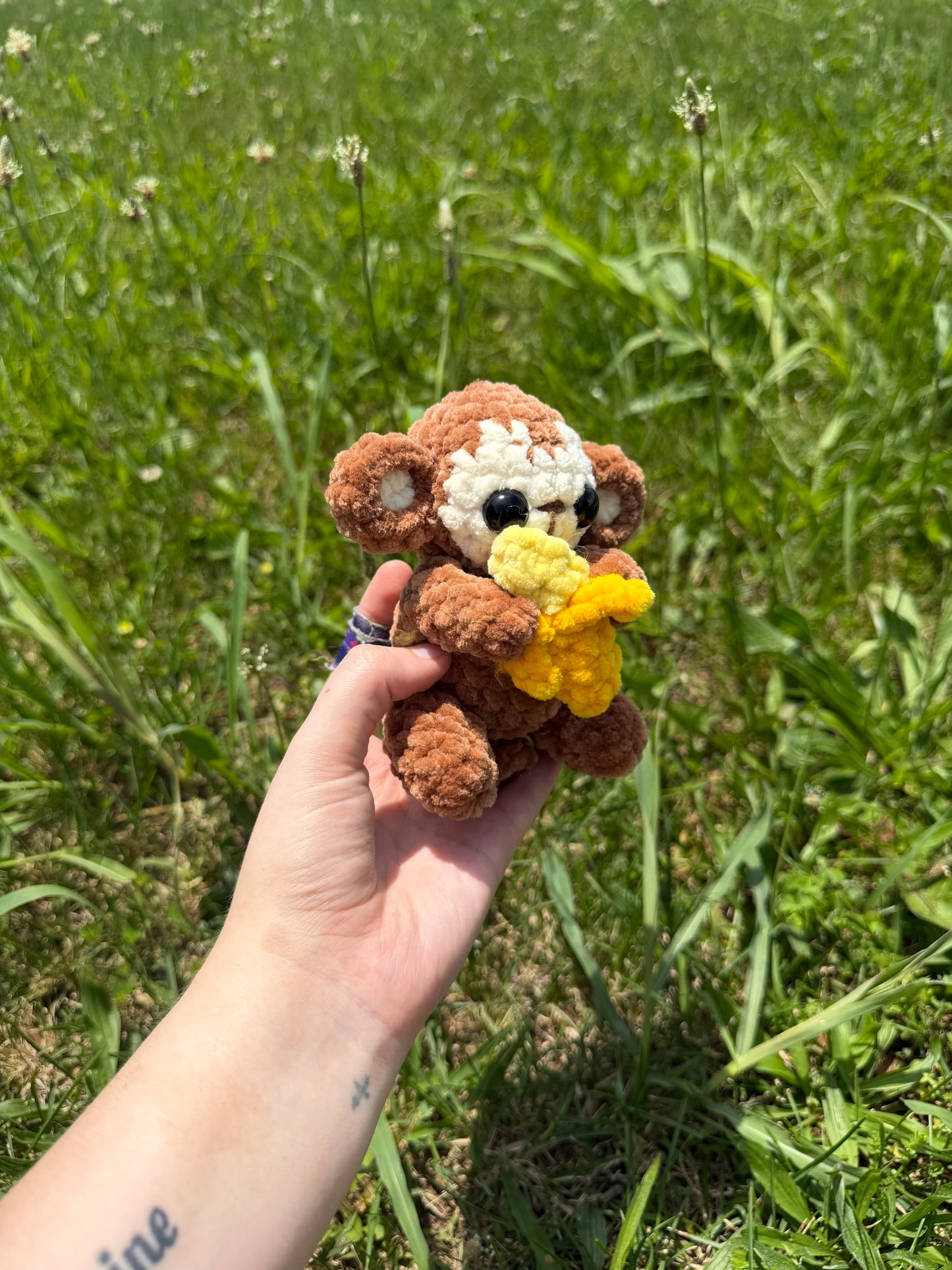 Baby Monkey