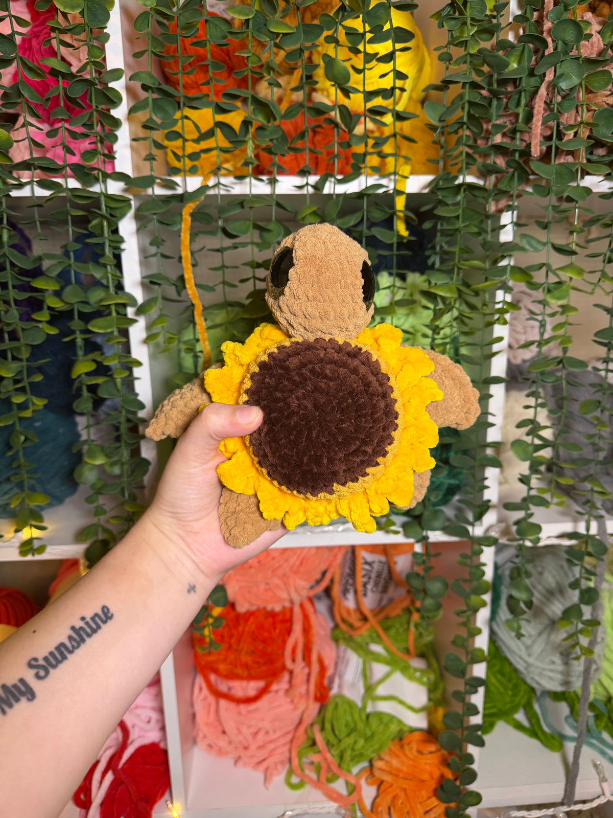 Sunflower Turtle