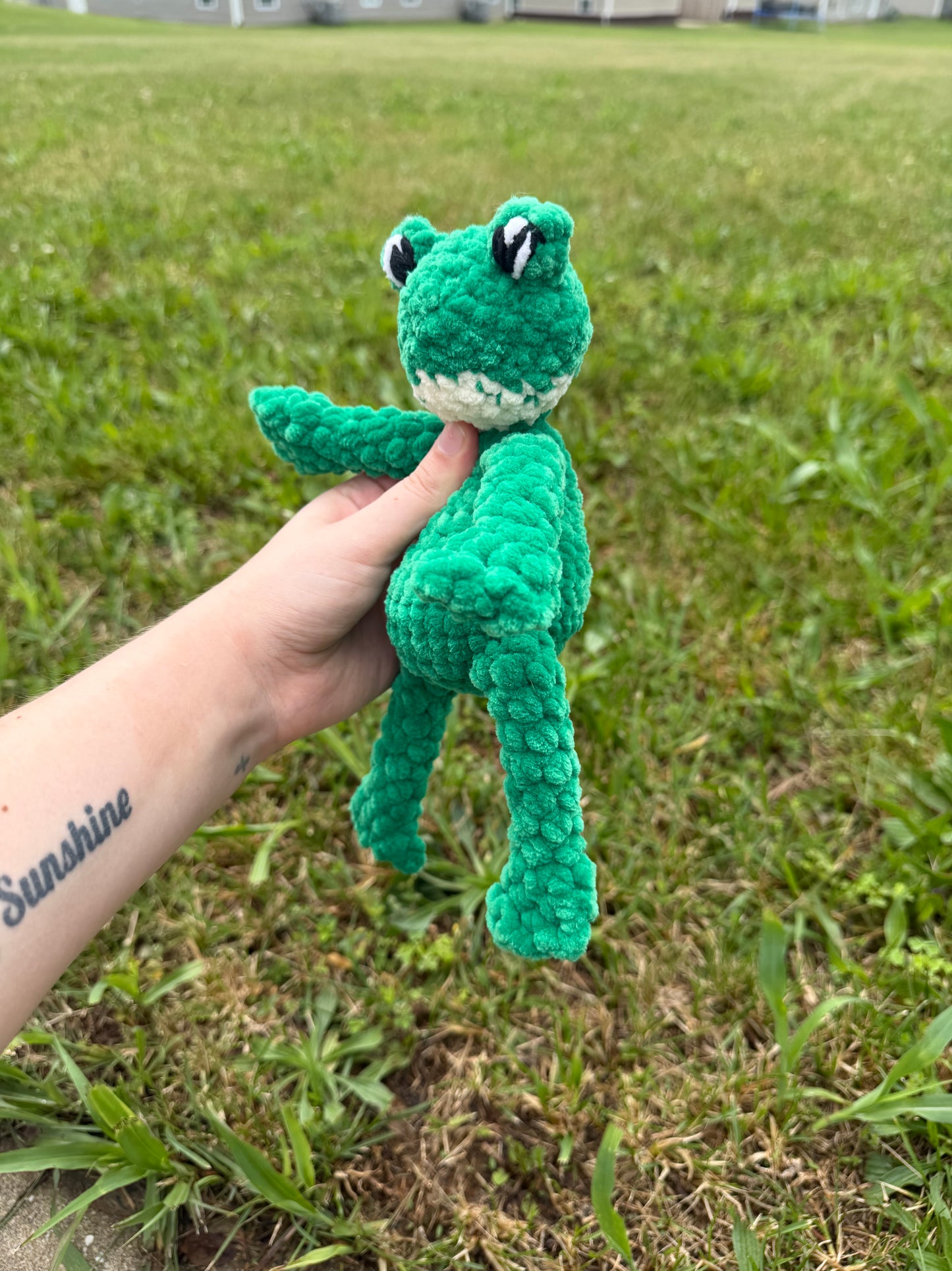 Baby Safe Frog