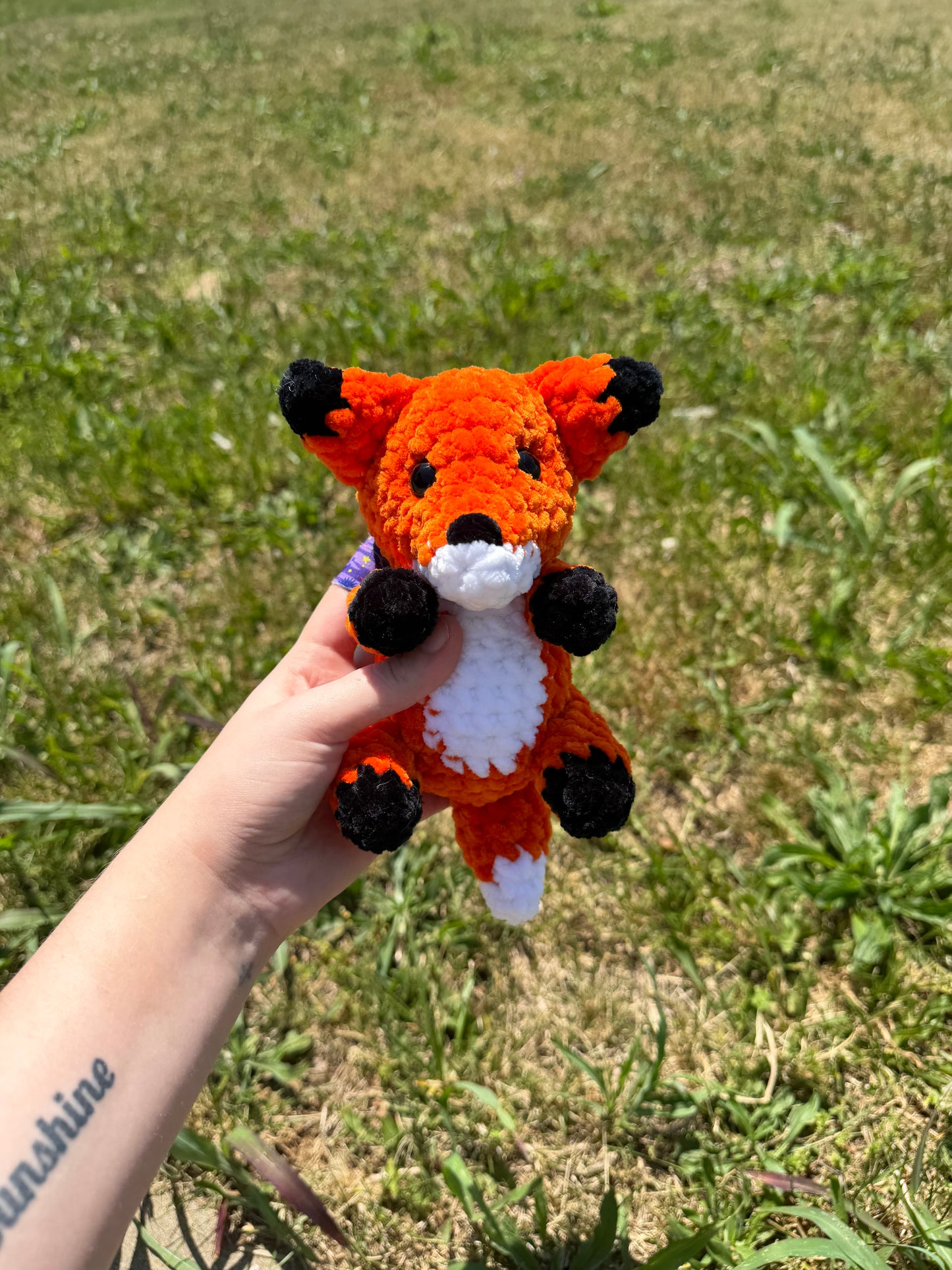 Baby Fox